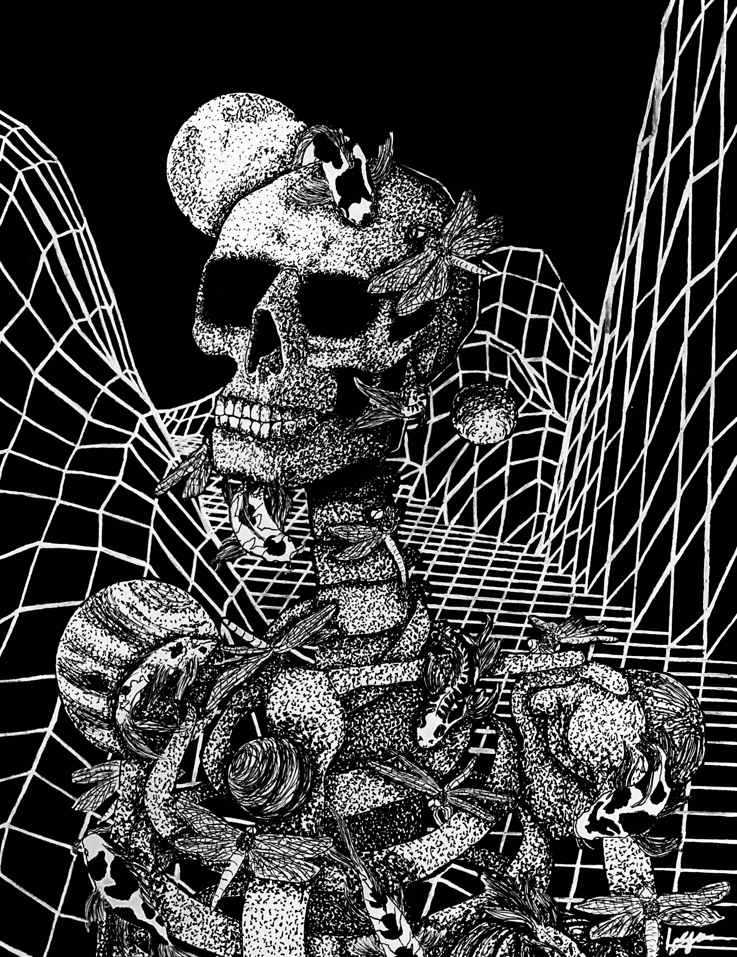 Black and white artwork of a human skull with insects, snakes, and a snake coiled around the neck, surrounded by a spider web.