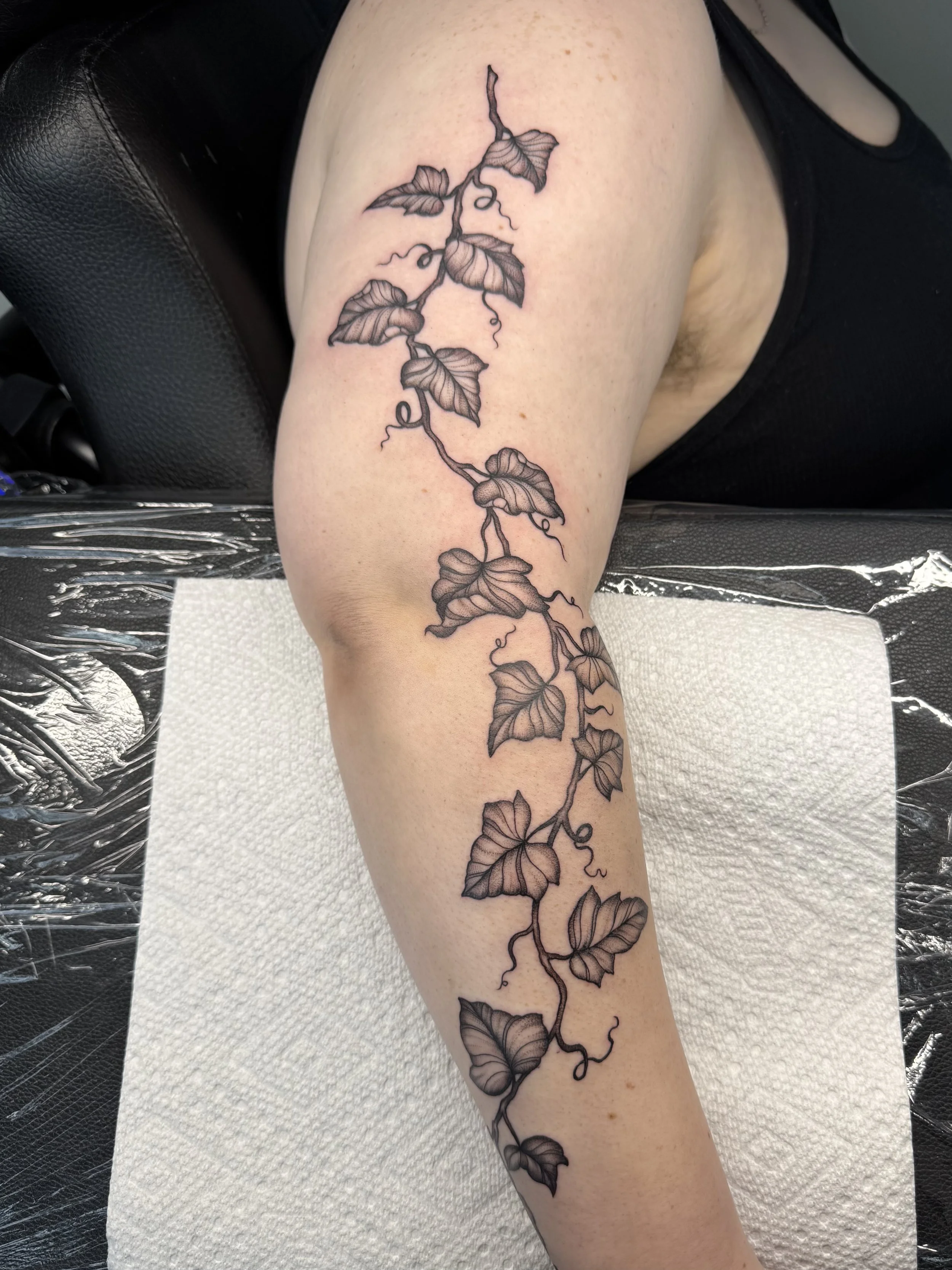 Black and gray tattoo of a vine with leaves on a person's upper arm.