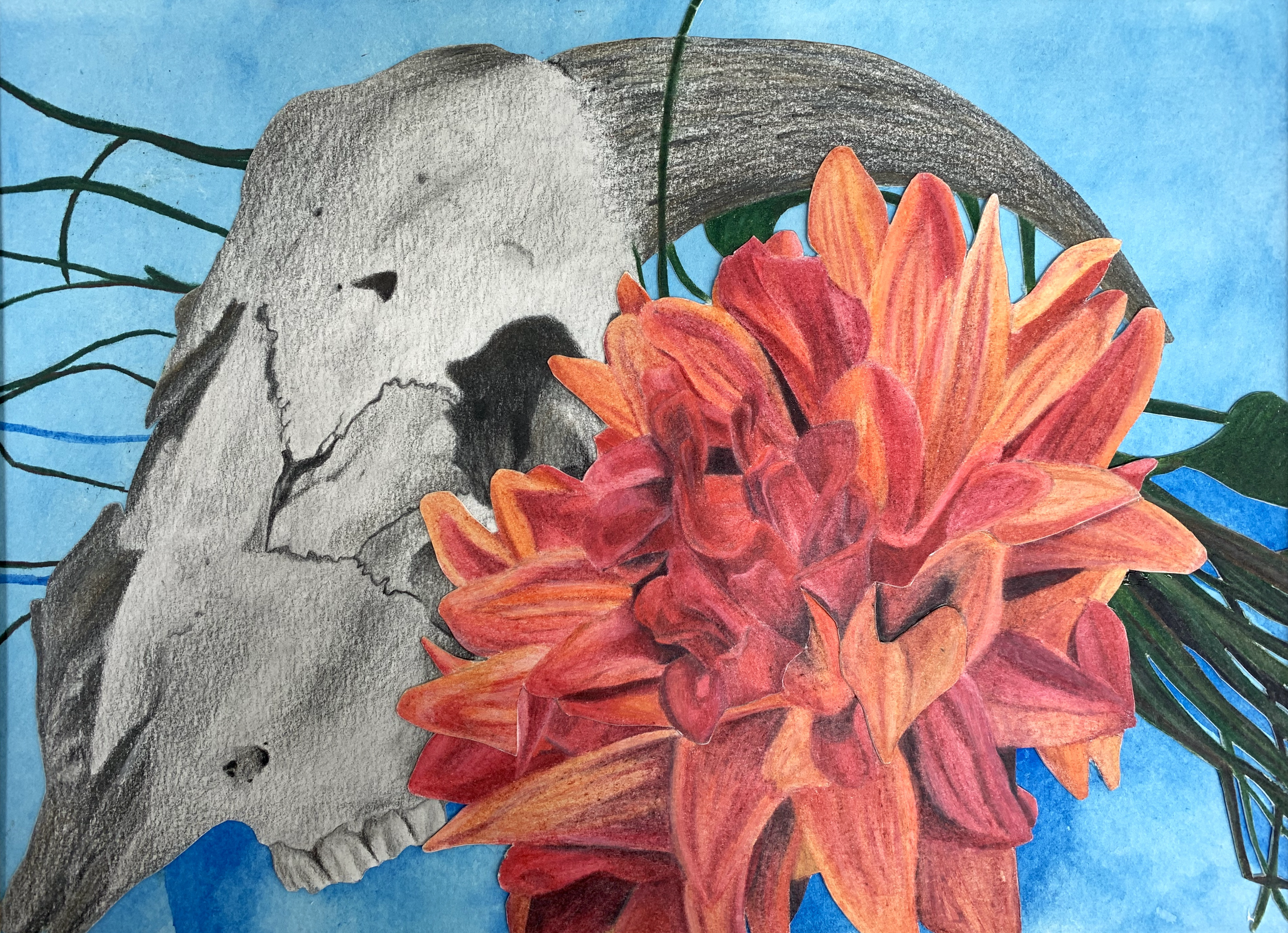 A detailed drawing of a bear skull with a large orange and red flower in front of it, set against a blue background with green leaves.
