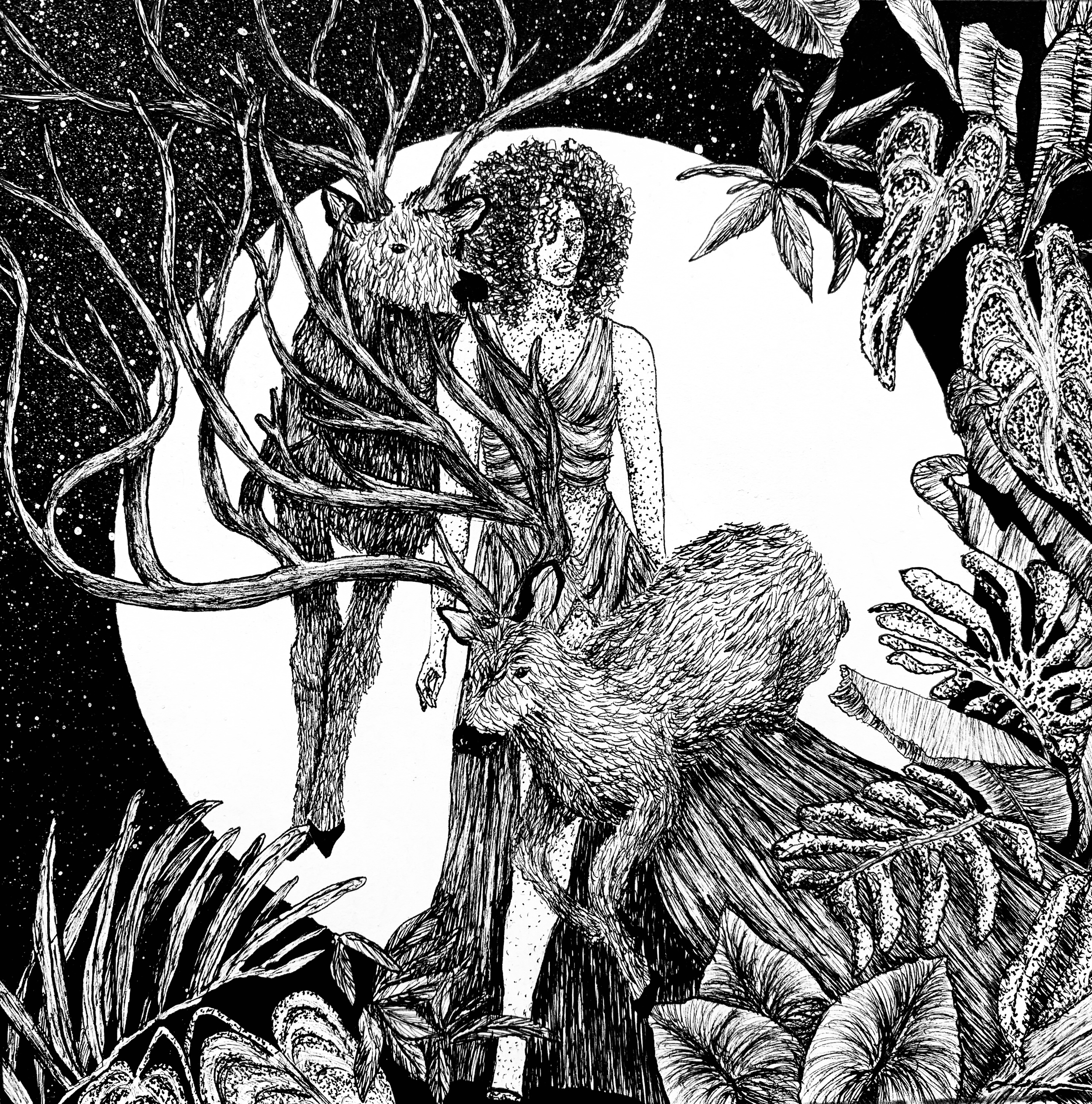 Black and white illustration of a forest scene featuring a woman with curly hair and a dress, a stag with large antlers, a wolf, surrounded by leaves, trees, and stars with a large moon in the background.