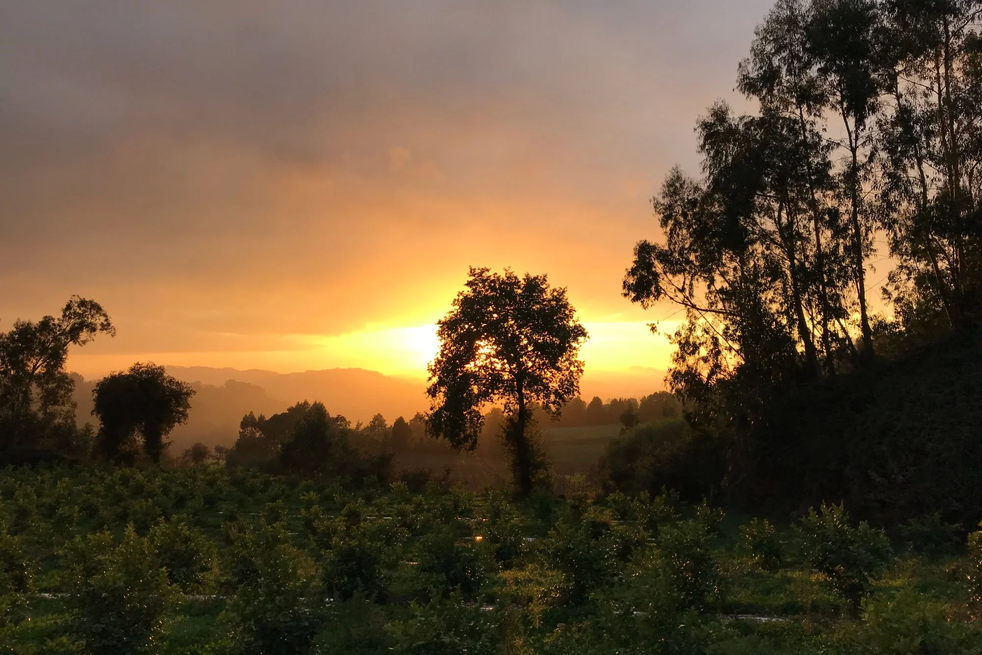 unset landscape at Casilho Portugal