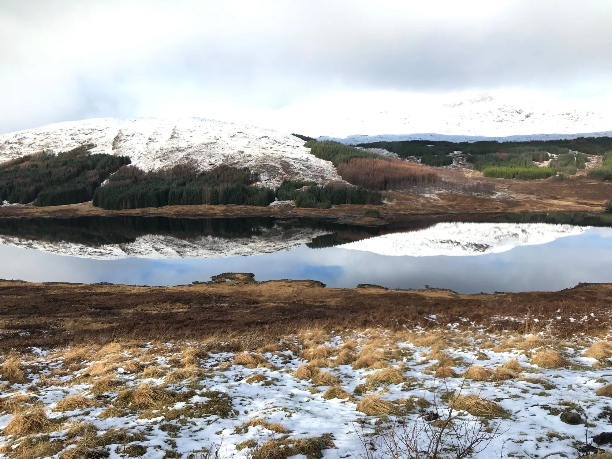 Highland lake and forest in Glenmoriston
