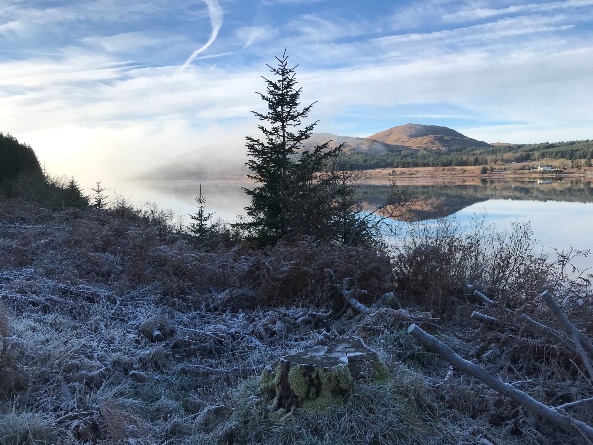 Frosty lakeside forest in Scotland