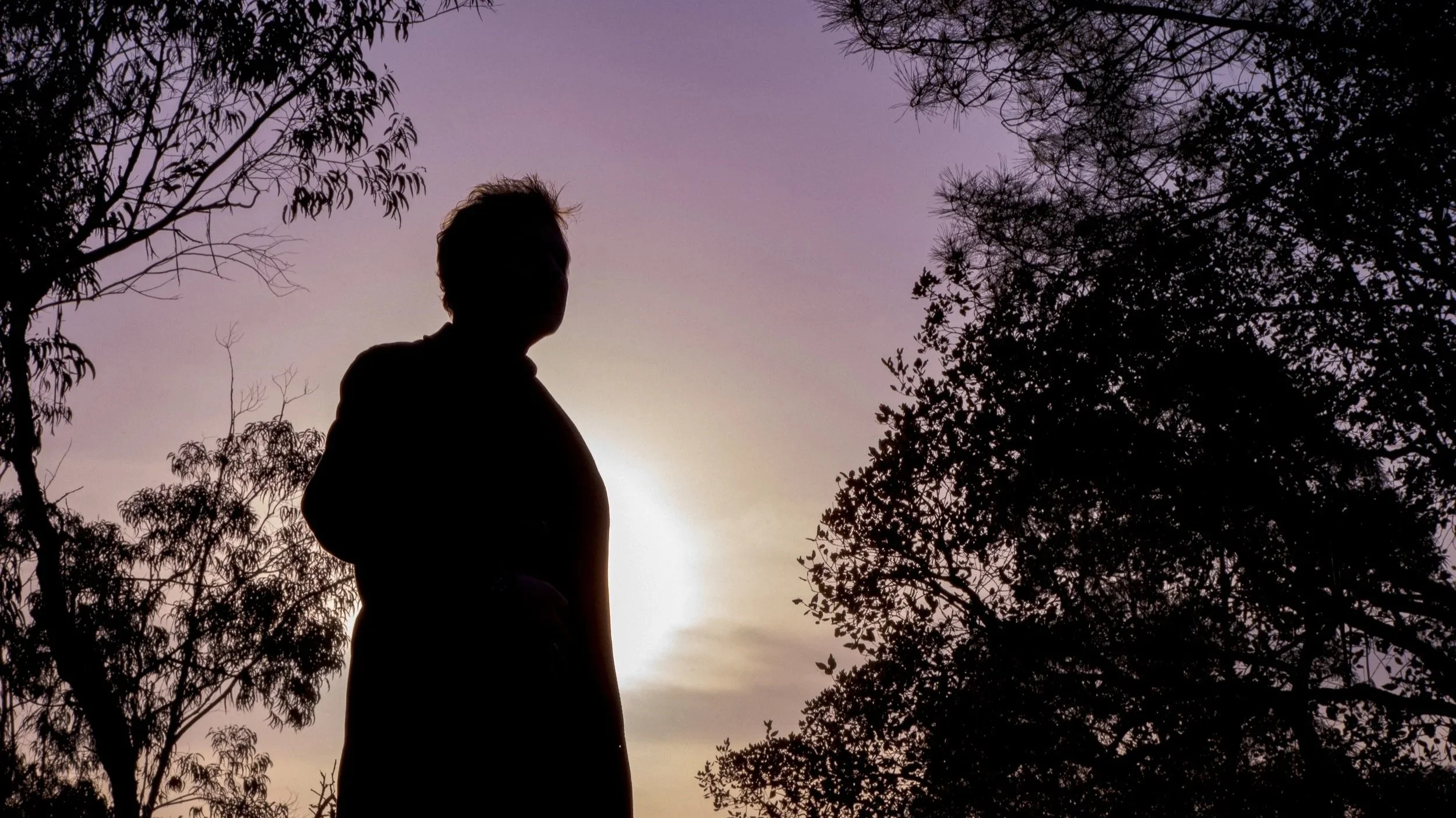 Sandy Kilpatrick silhouette among trees at dusk with purple sky