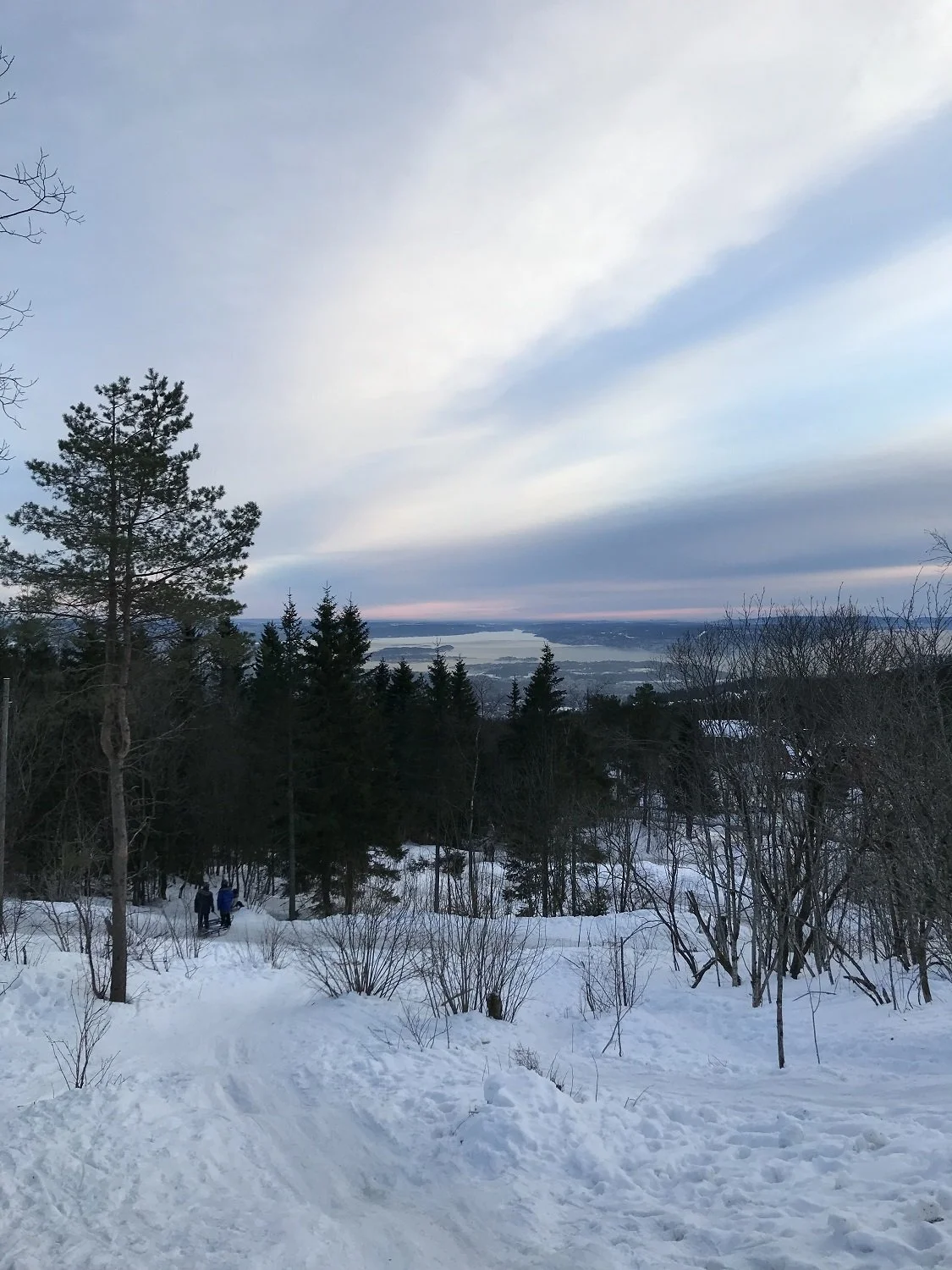 Snow-covered landscape featuring trees, with a view of a distant water body under a partly cloudy sky.