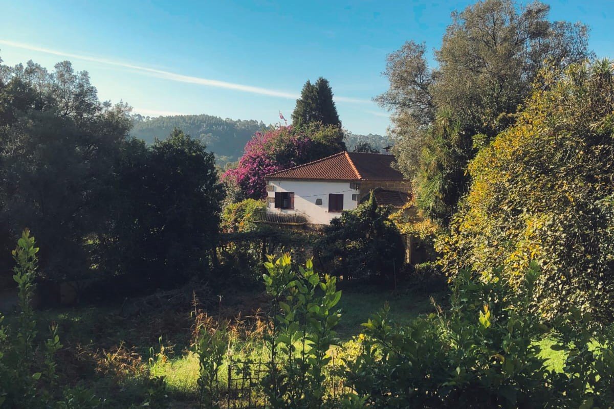 A rural house with a red-tiled roof surrounded by trees and tall grass under a blue sky.