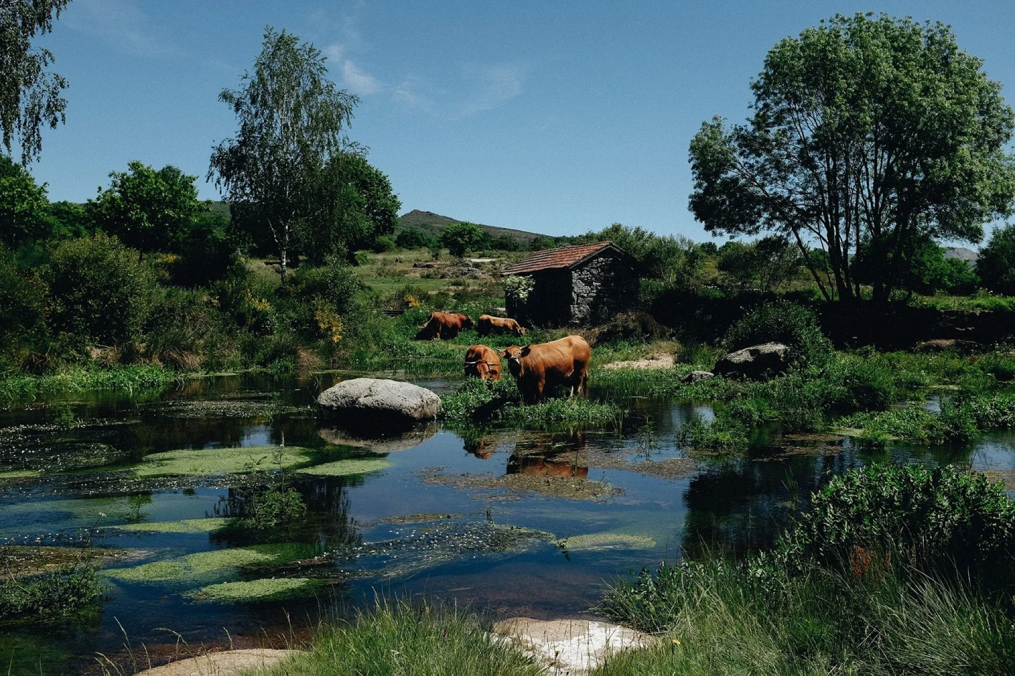 Fine-art landscape photograph – Portugal by Sandy Kilpatrick