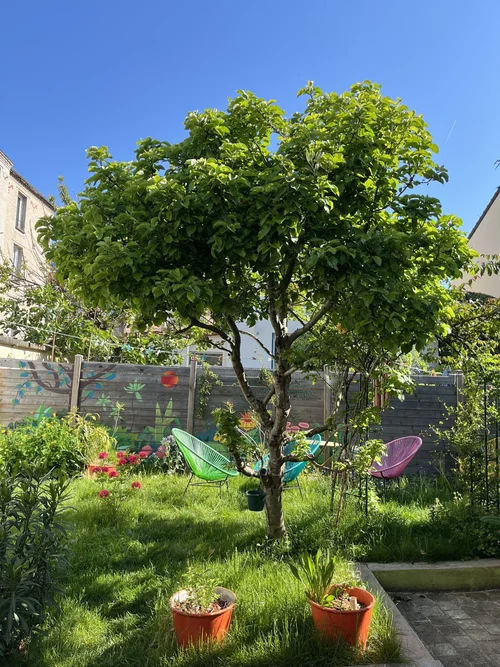Studio Pilates Fontenay-sous-Bois espace ext&eacute;rieur Padma