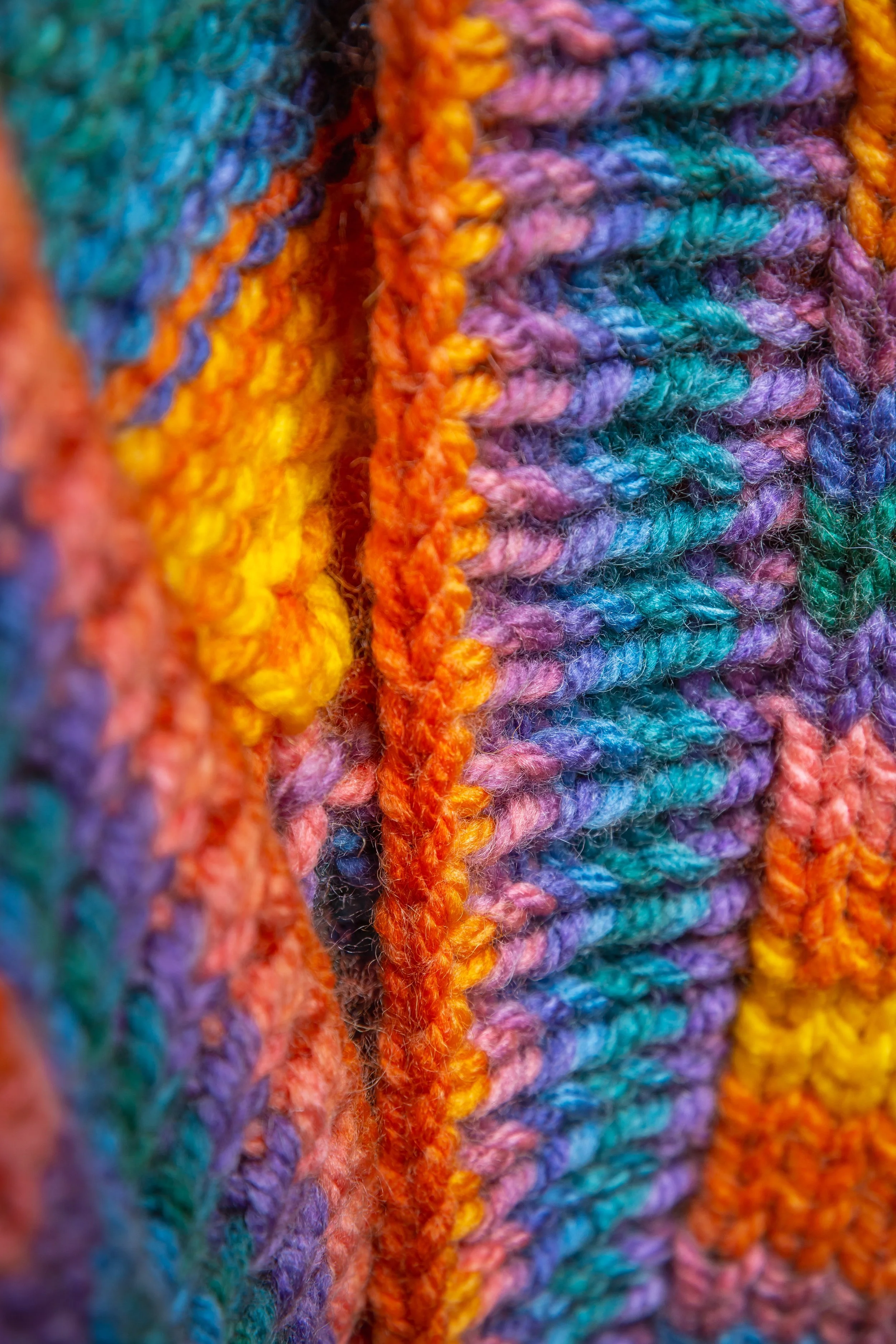 Miss Dotty_website-20260225_054.jpg