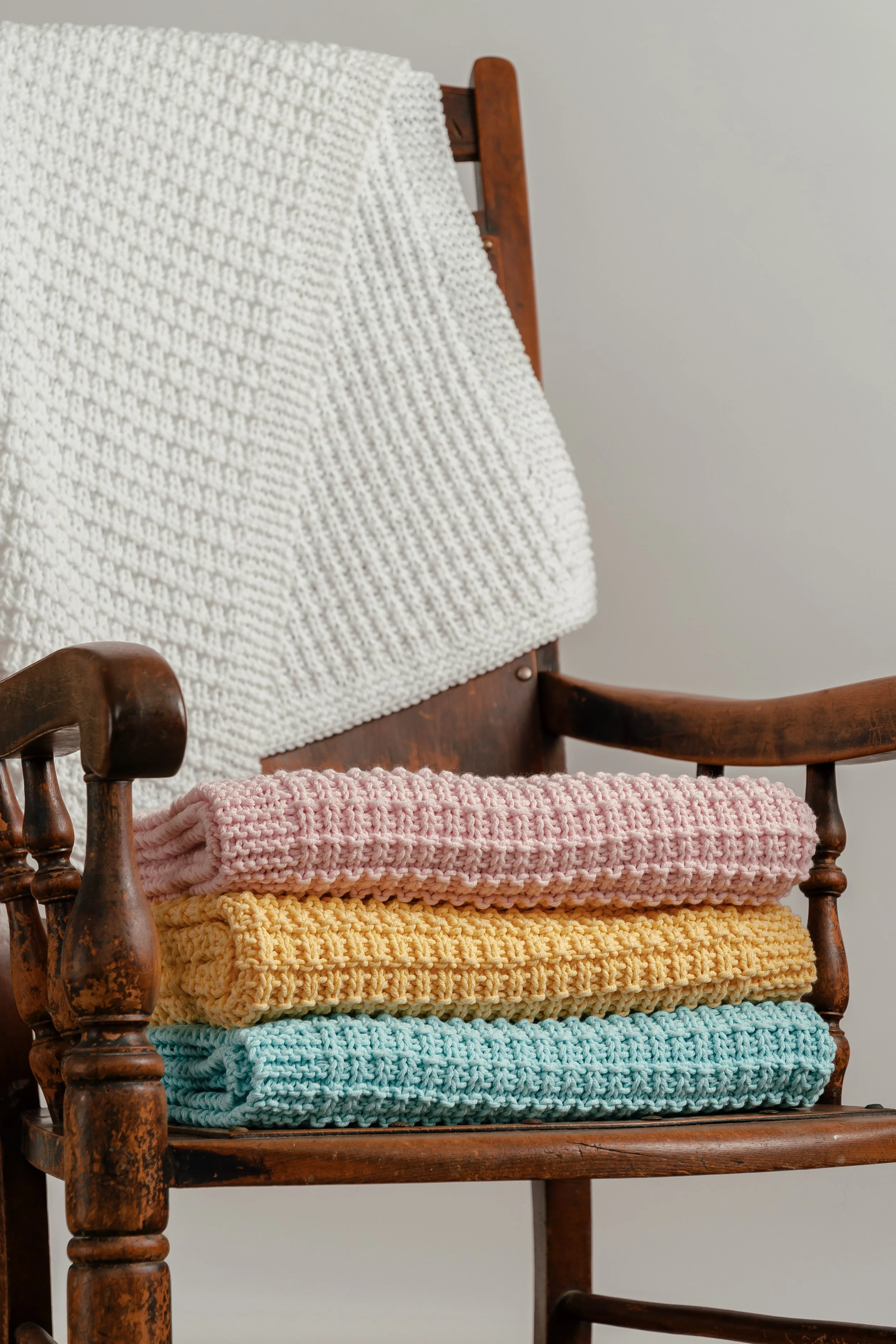 Miss Dotty_20260203-7.JPG