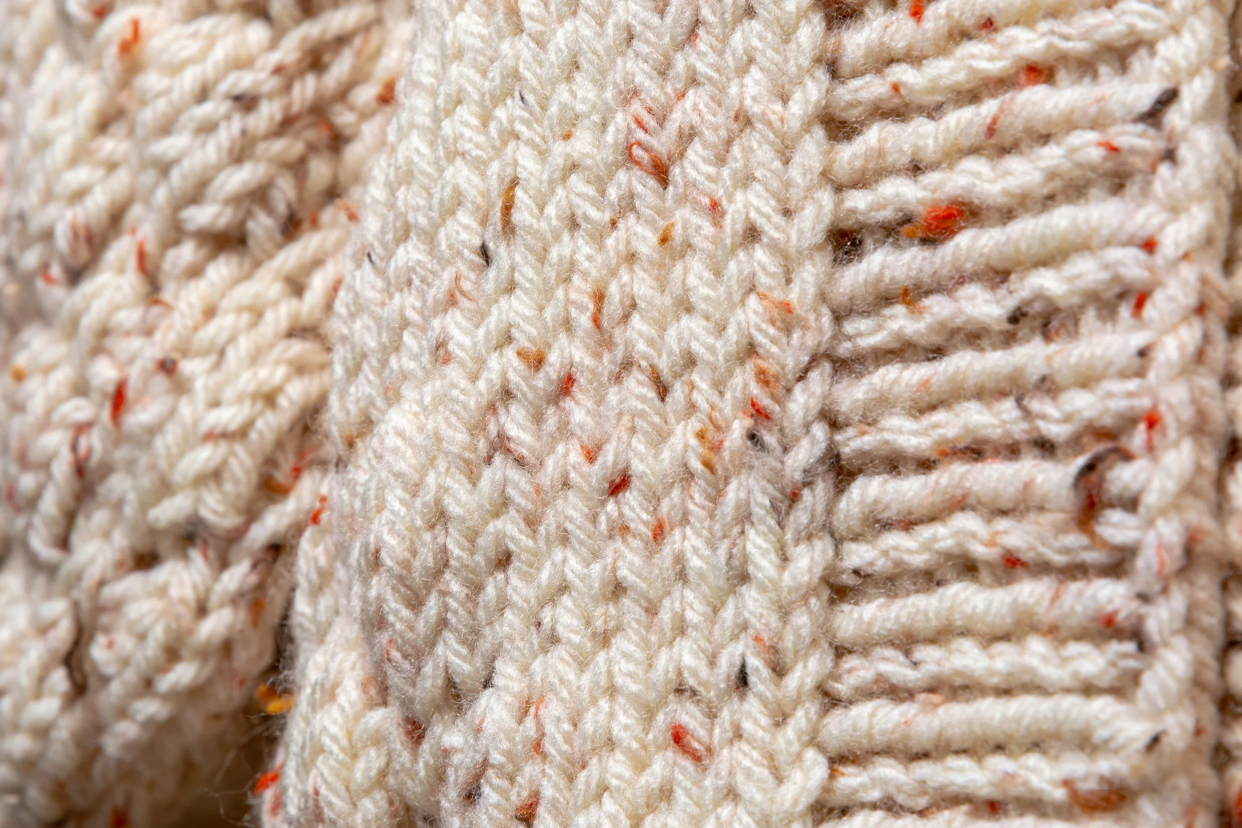 Miss Dotty_website-20260225_075.jpg