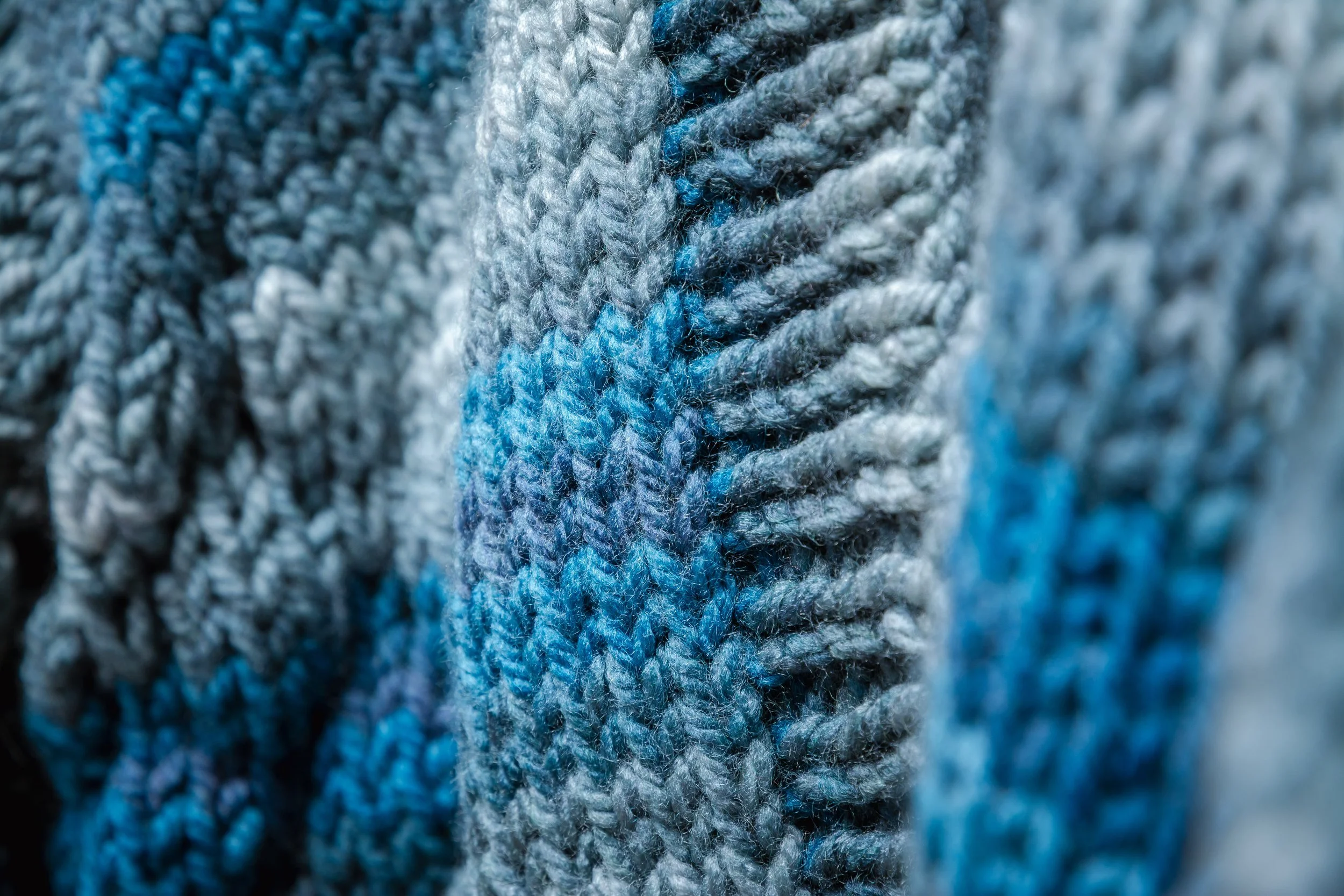 Miss Dotty_website-20260225_018.jpg