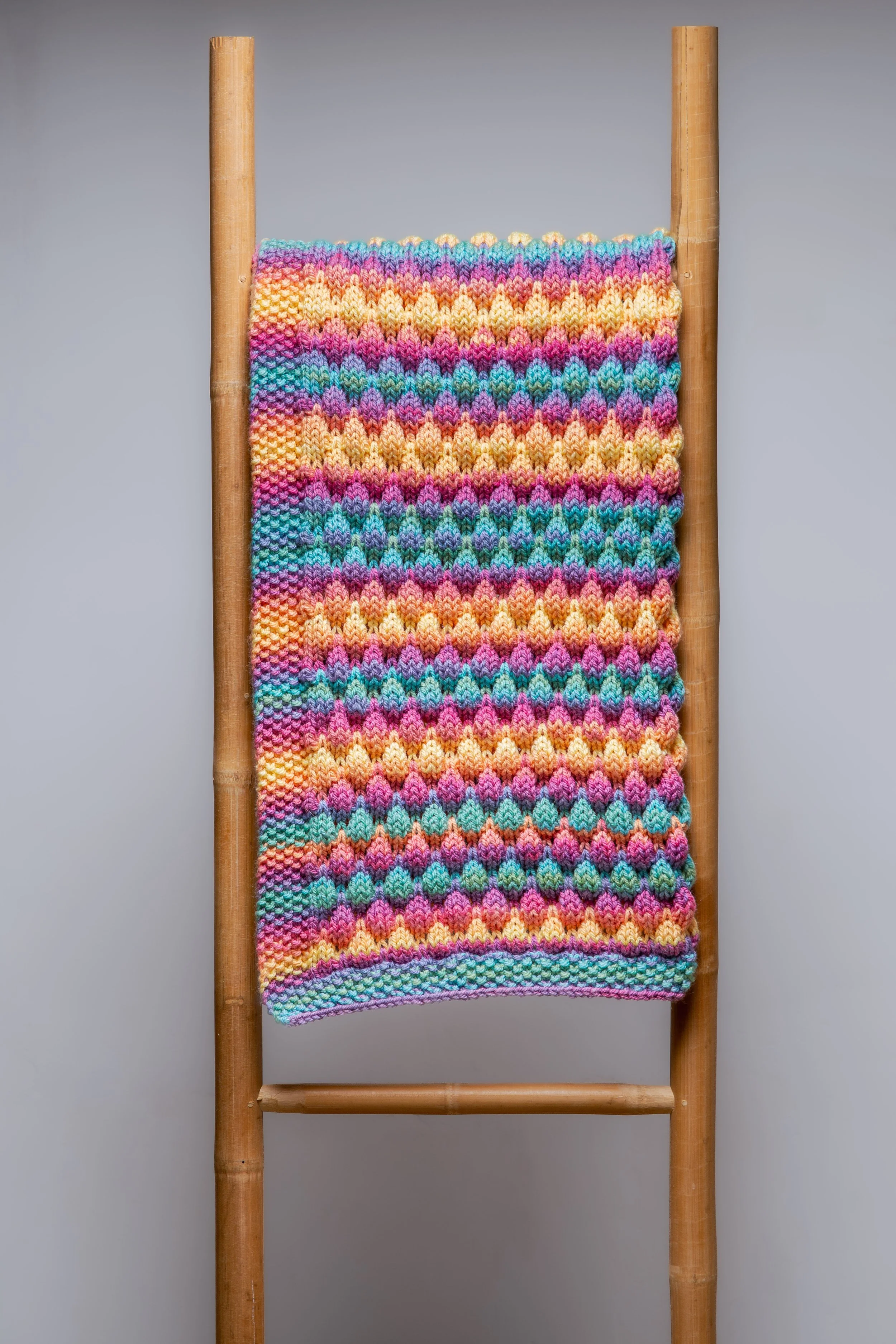 Miss Dotty_website-20260225_158.jpg