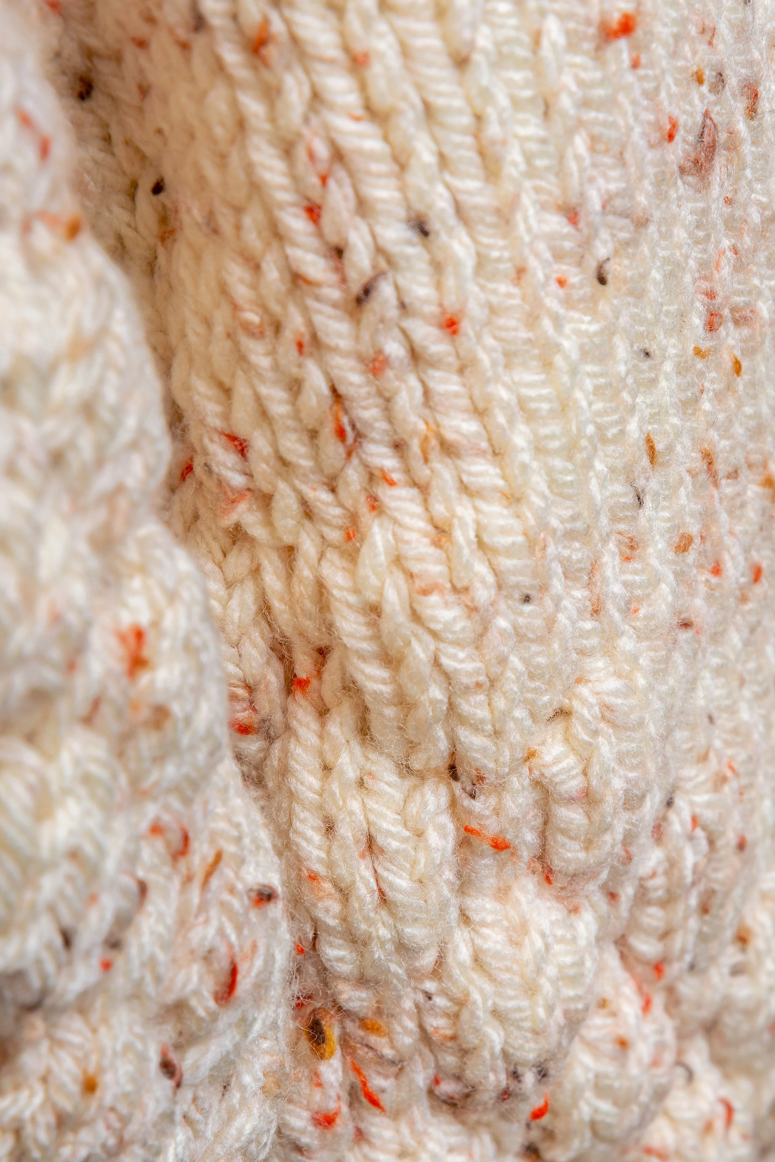 Miss Dotty_website-20260225_077.jpg