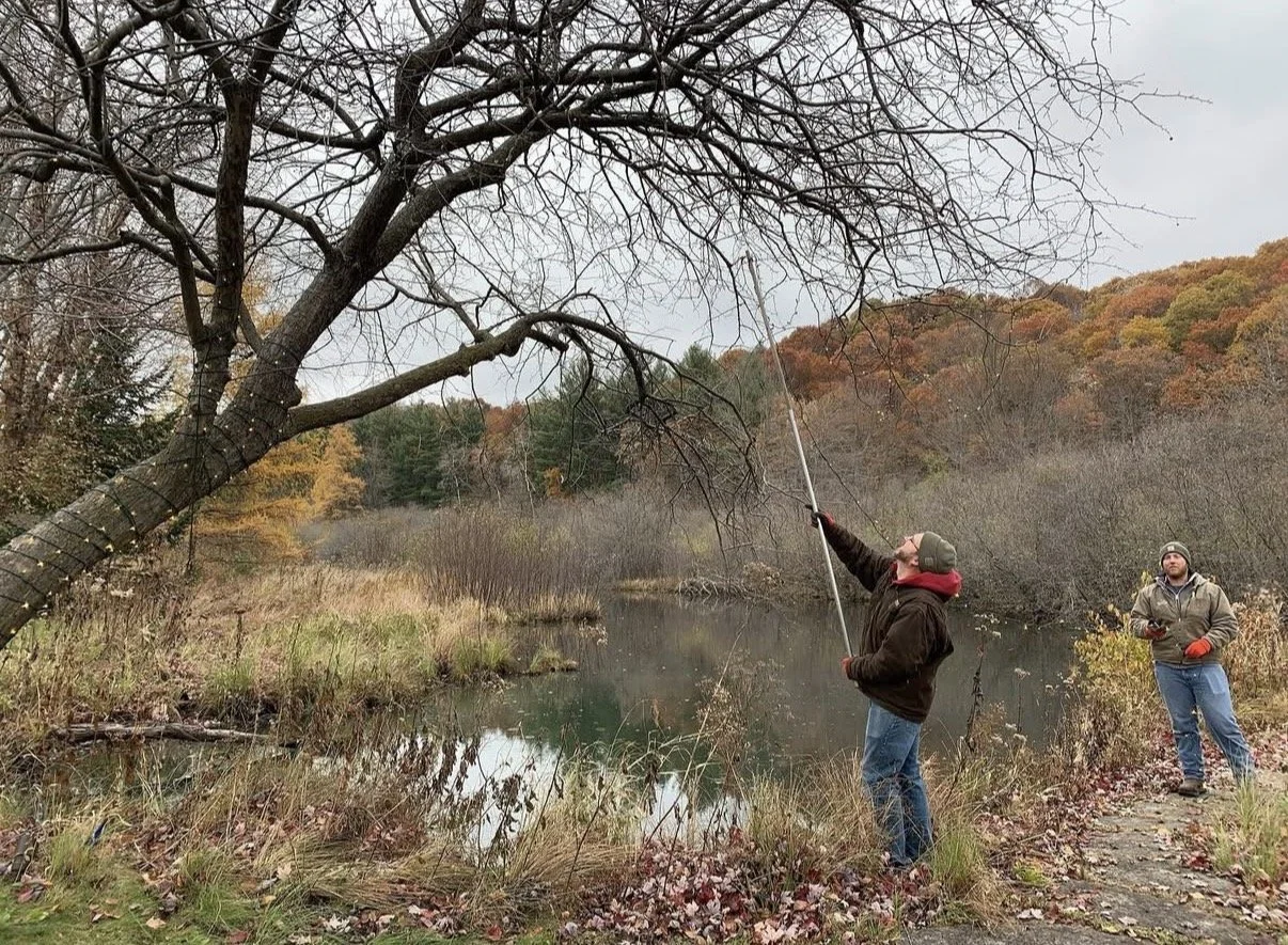 Two men are fishing by a river in a fall landscape with trees showing autumn colors. One man is reaching up to trim a tree branch with a pole saw, while the other stands nearby observing.