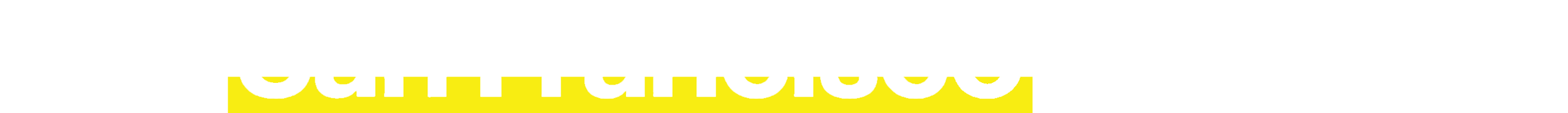 The San Francisco Standard logo