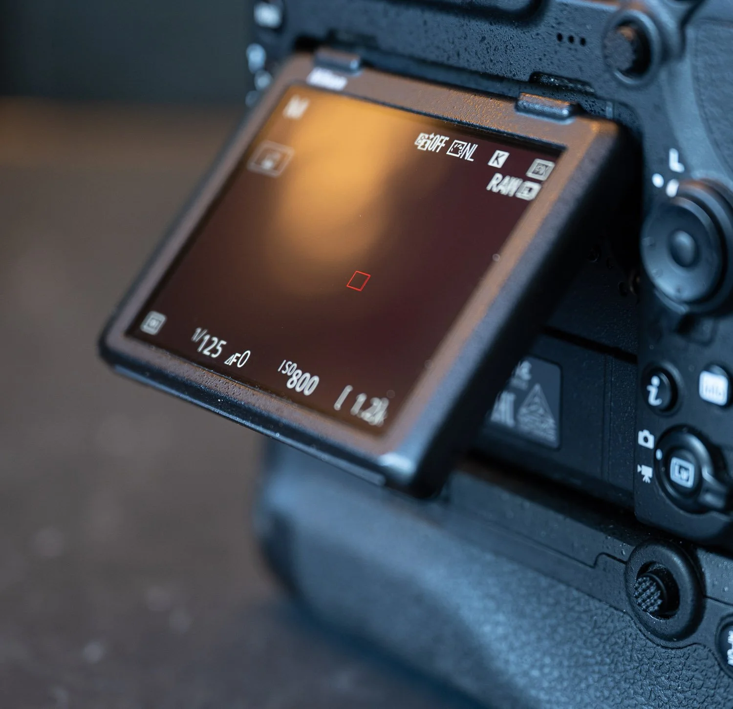 Fotos verkoop 26-49 nikon D850 screen.jpg