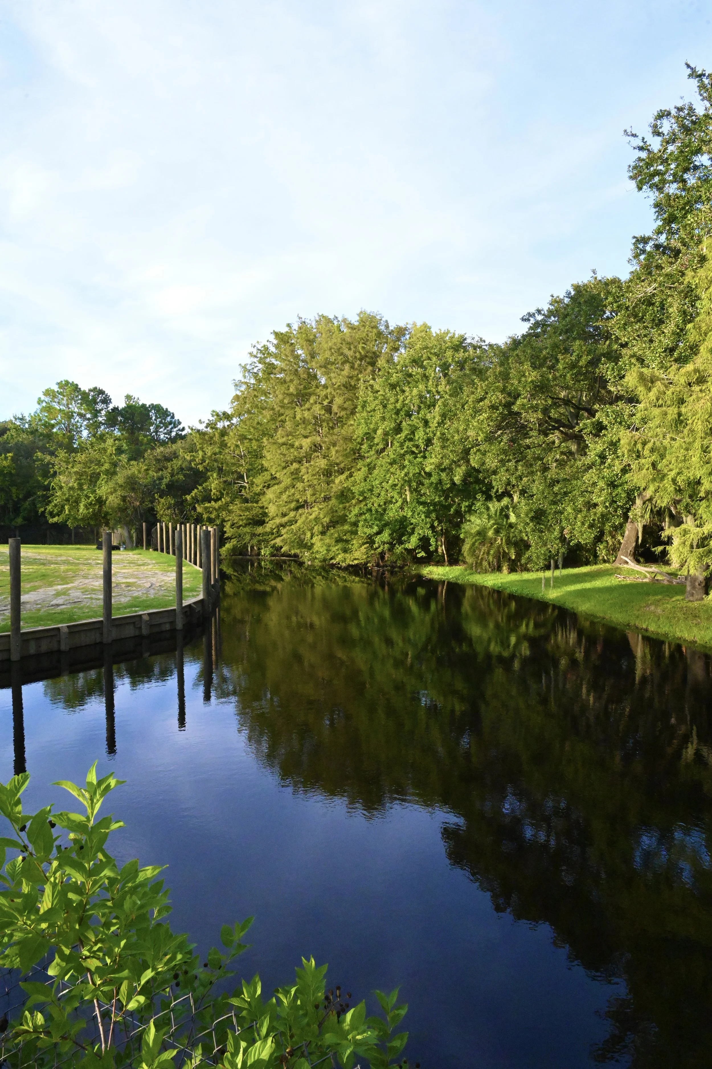 Brew at the Zoo, 2025