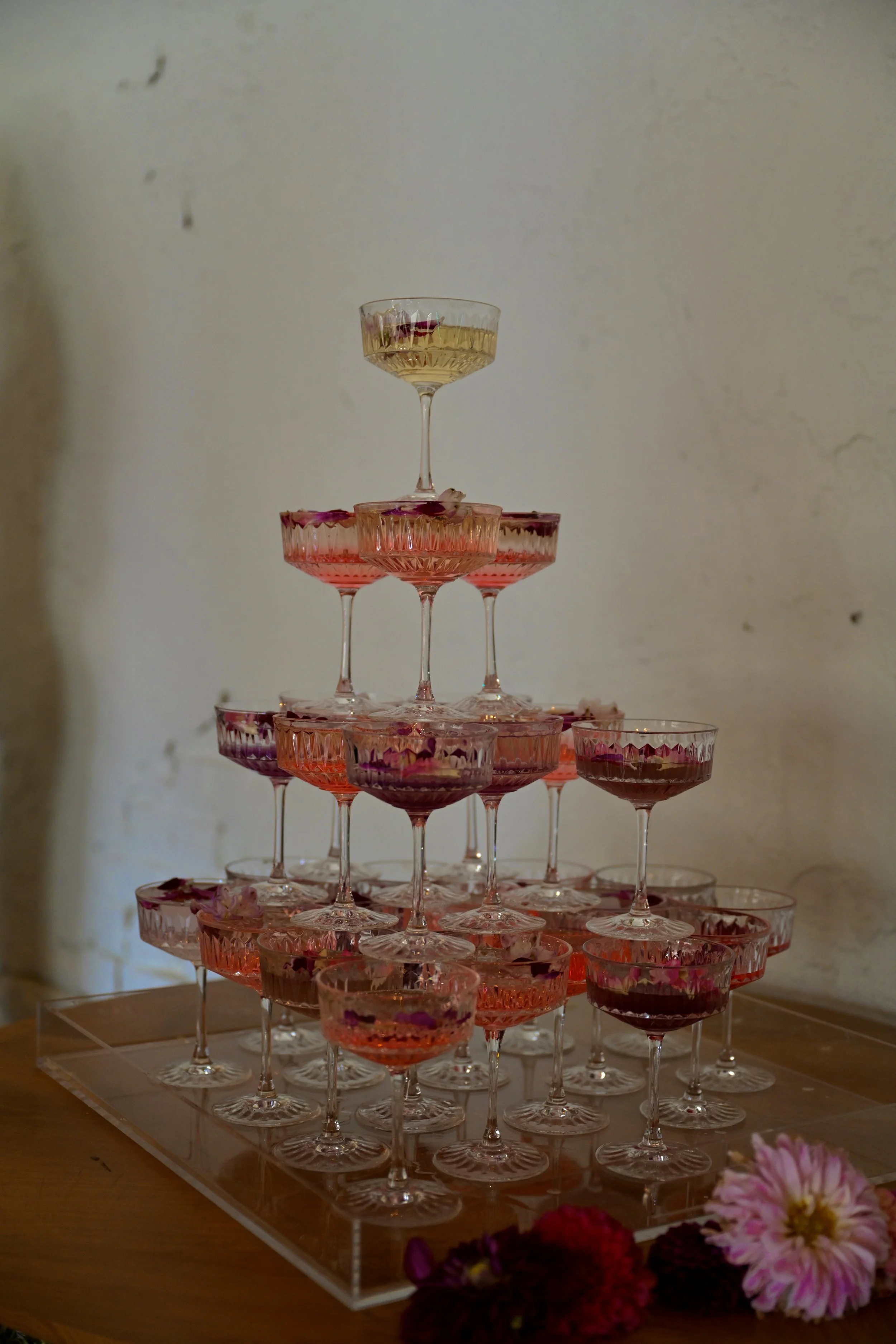 Opening of The Cady Club, 2025