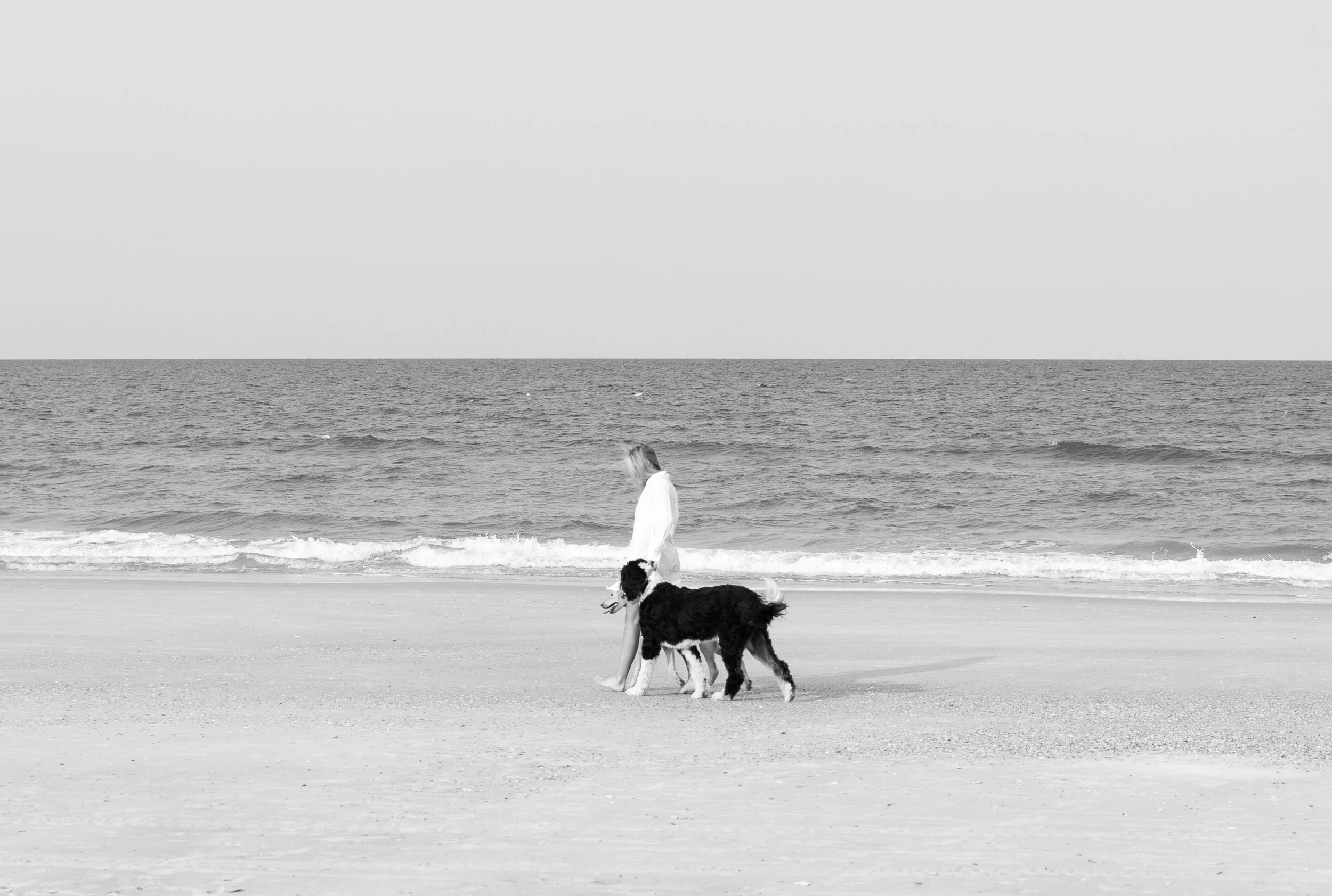 A person walking with a dog along a beach with calm waves