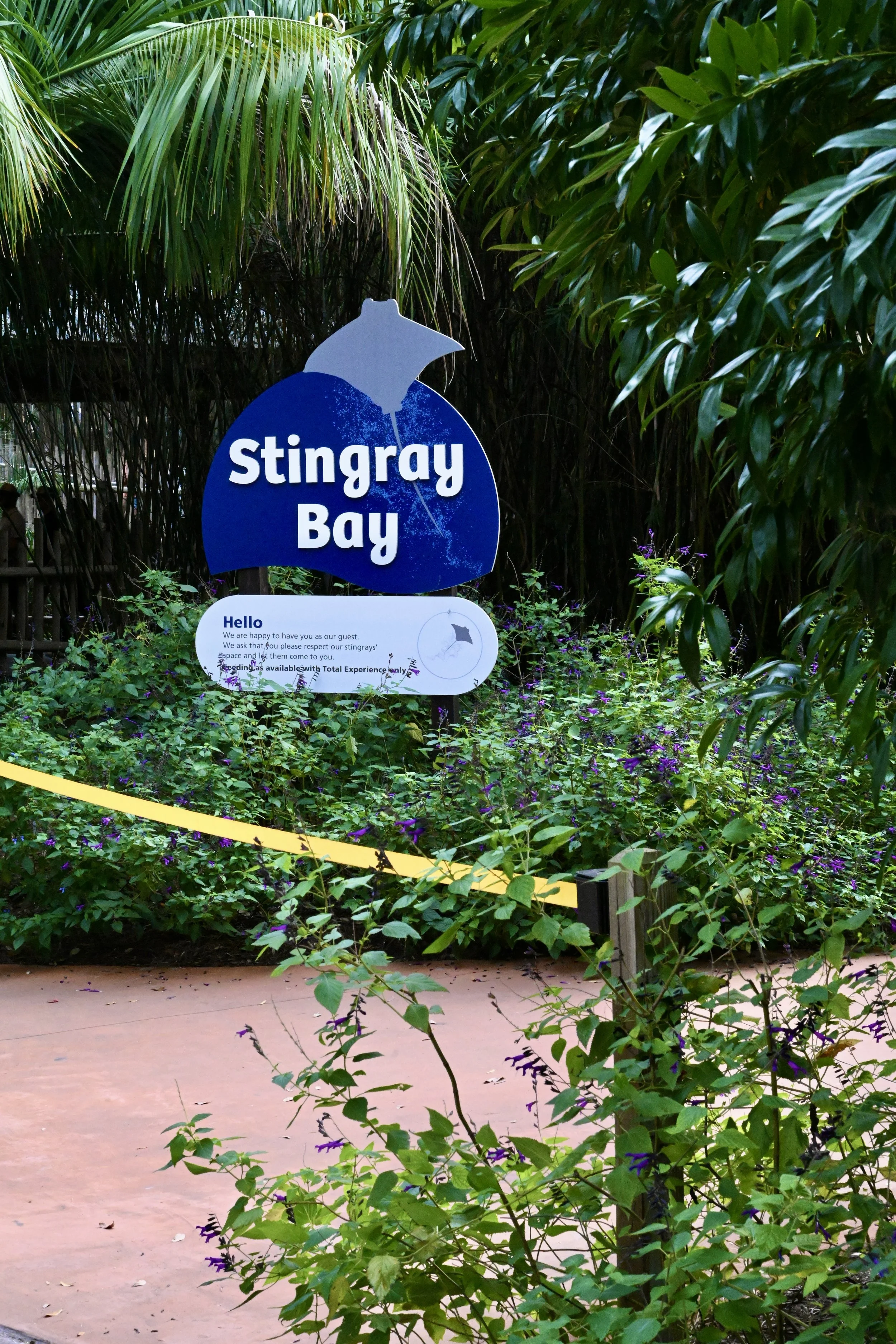 Brew at the Zoo, 2025