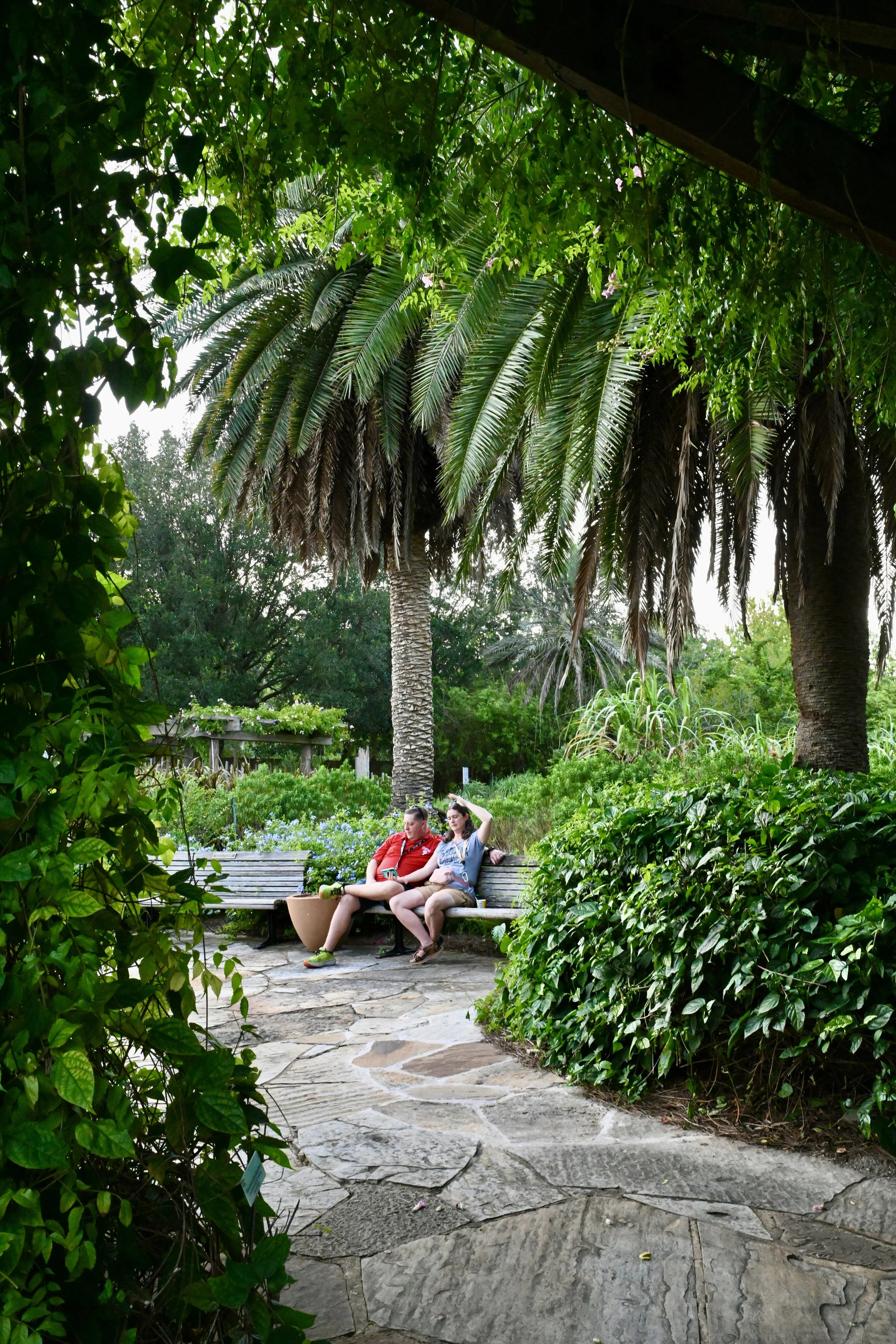 Brew at the Zoo, 2025