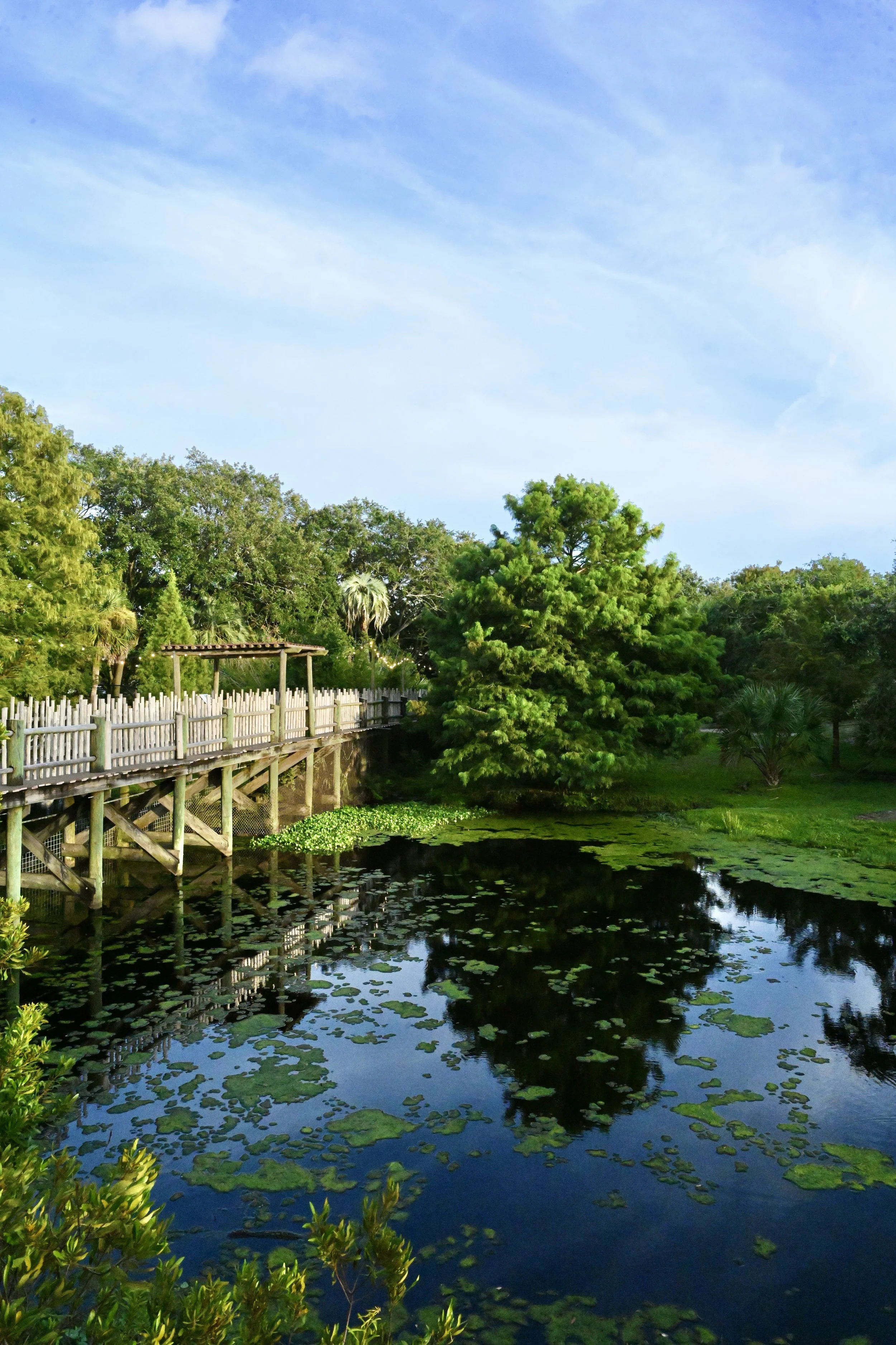 Brew at the Zoo, 2025