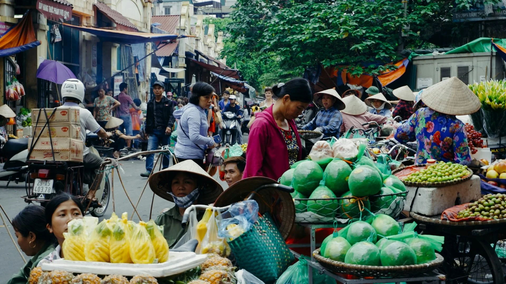 15-Day December Thailand + Vietnam Cultural & Food Journey