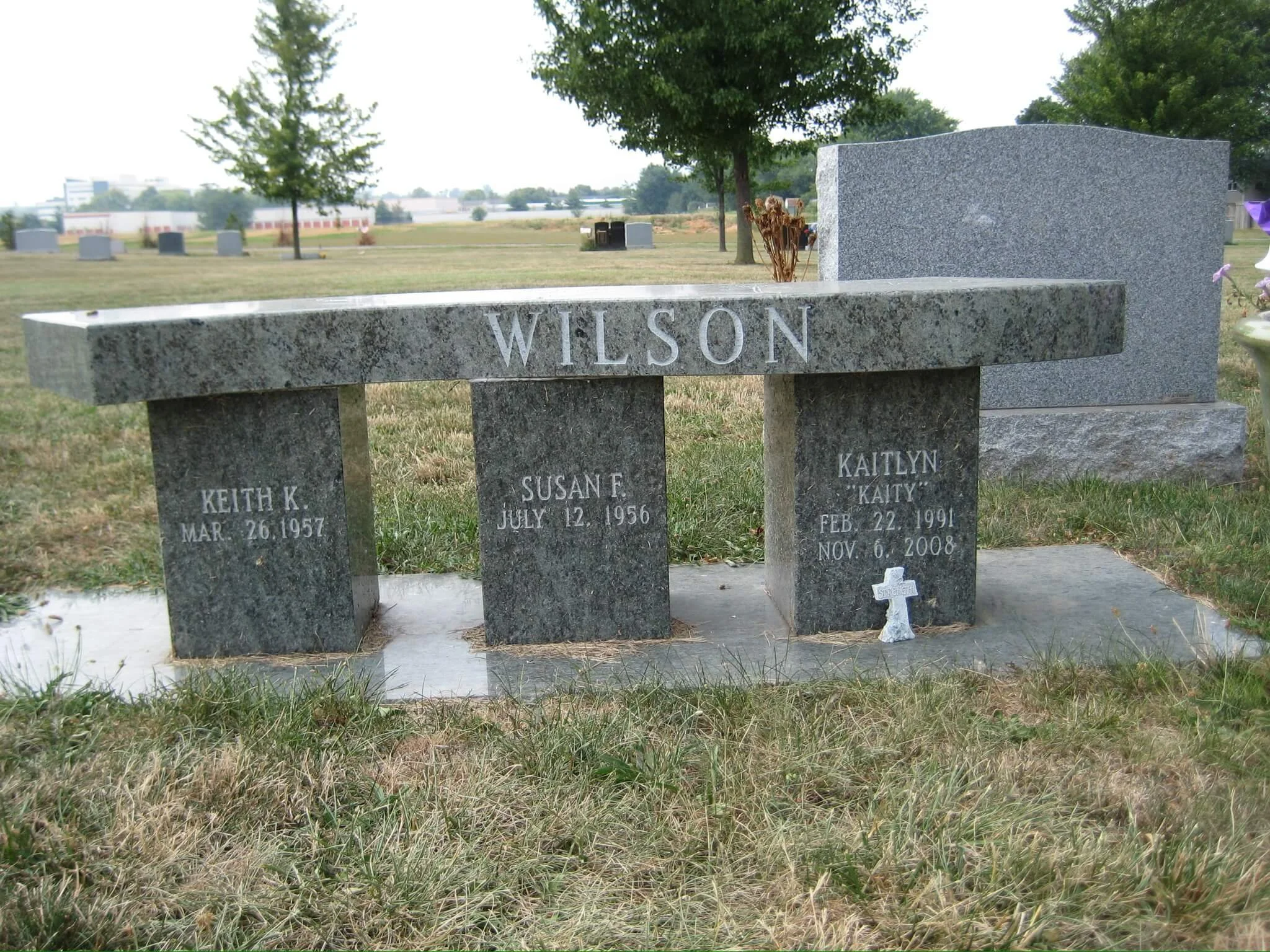 Gravestone with the name Wilson and children’s names and birth and death dates, set in a grassy cemetery with trees and other gravestones in the background.