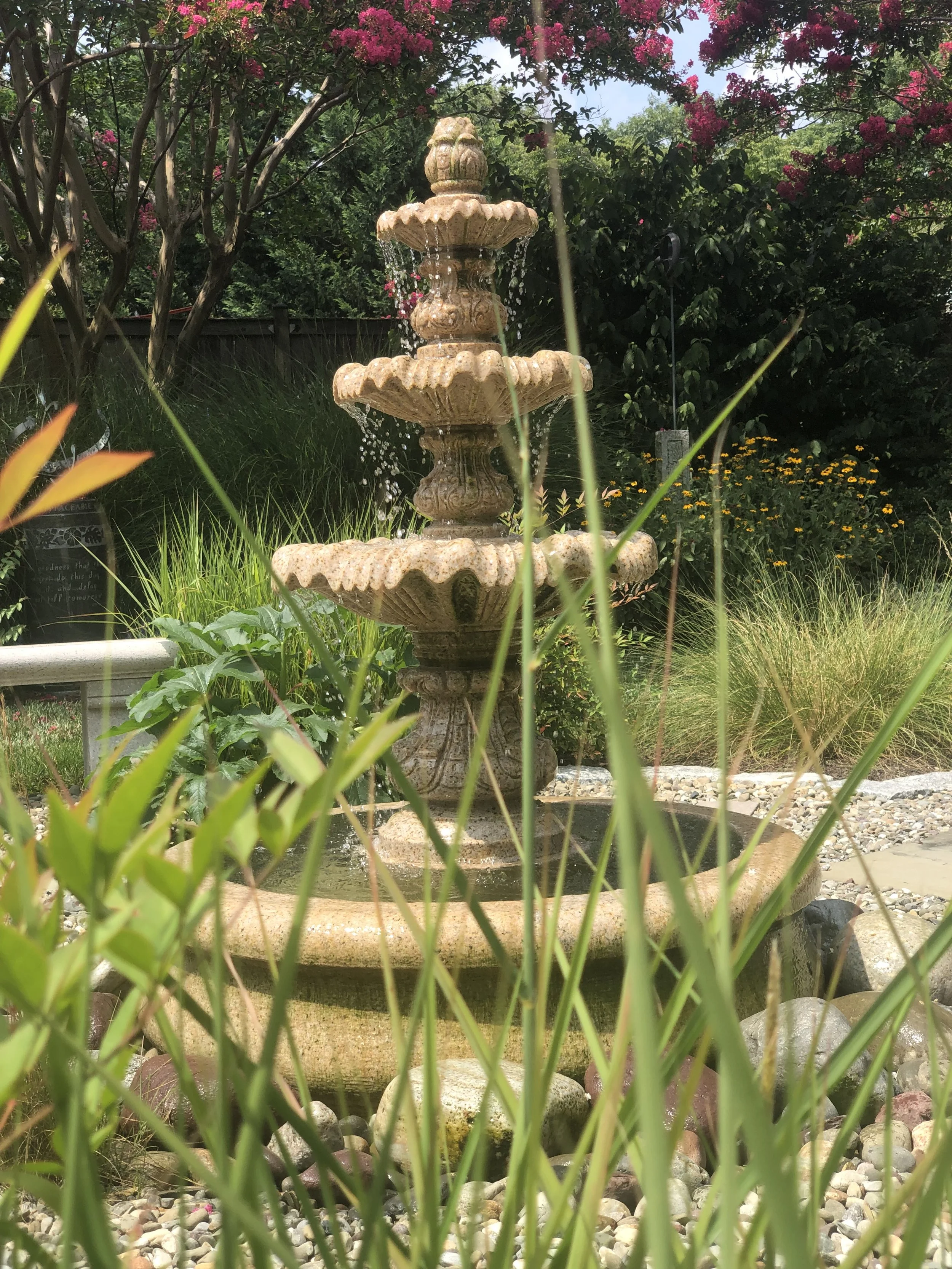 IMG_6331.jpeg
