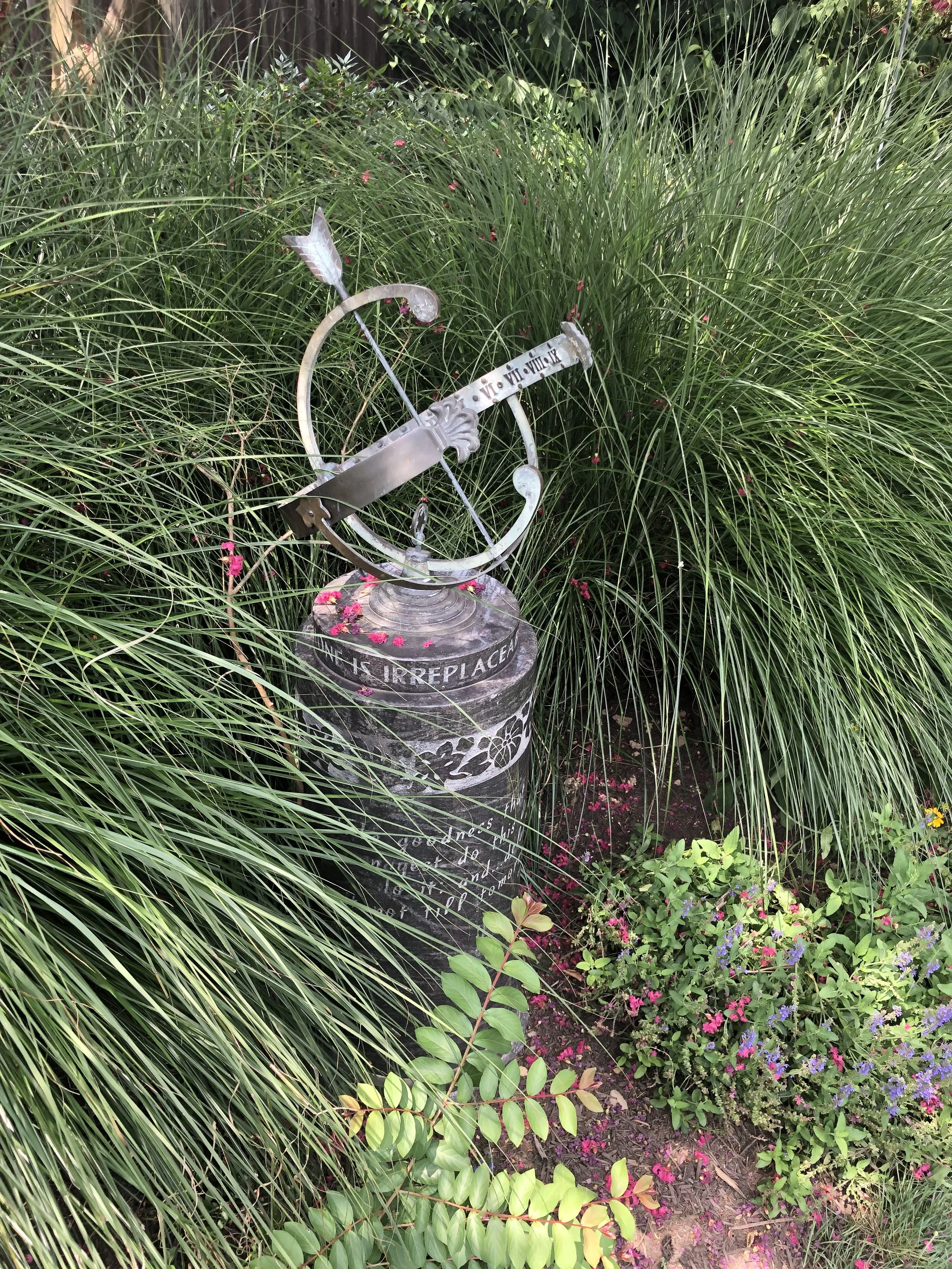 IMG_6336.jpeg