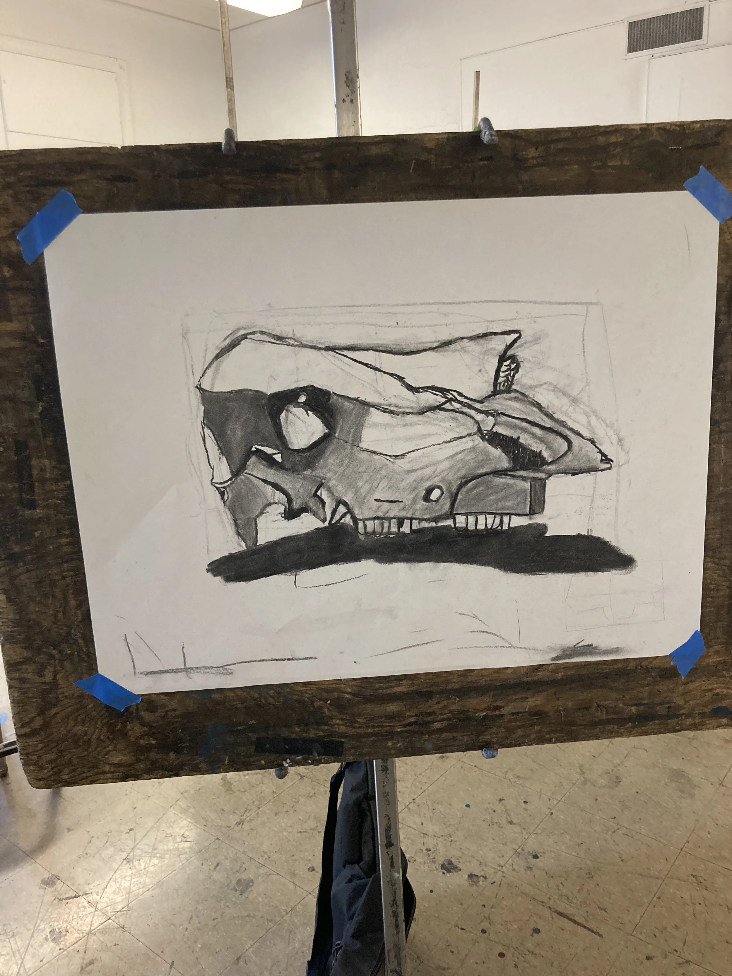 Horse Skull Charcoal 2025