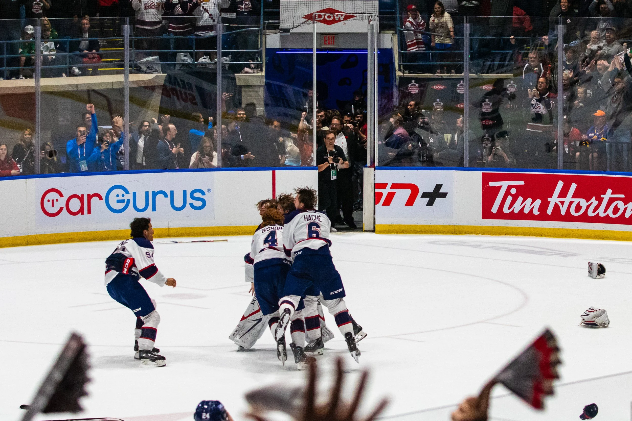 Hockey players celebrating on the ice with fans cheering in the background.