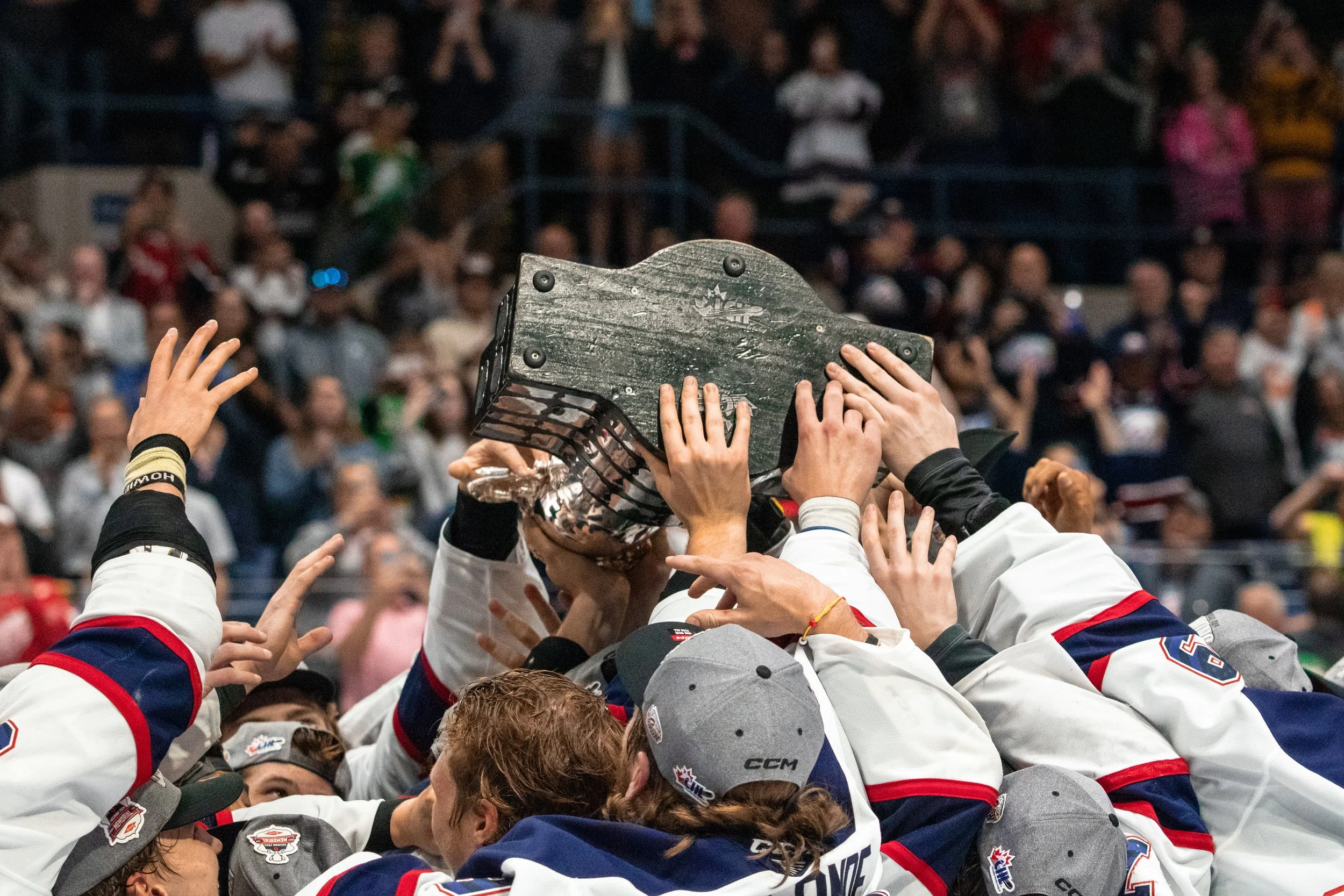 Hockey players celebrate winning the championship by lifting a trophy in a crowded arena.