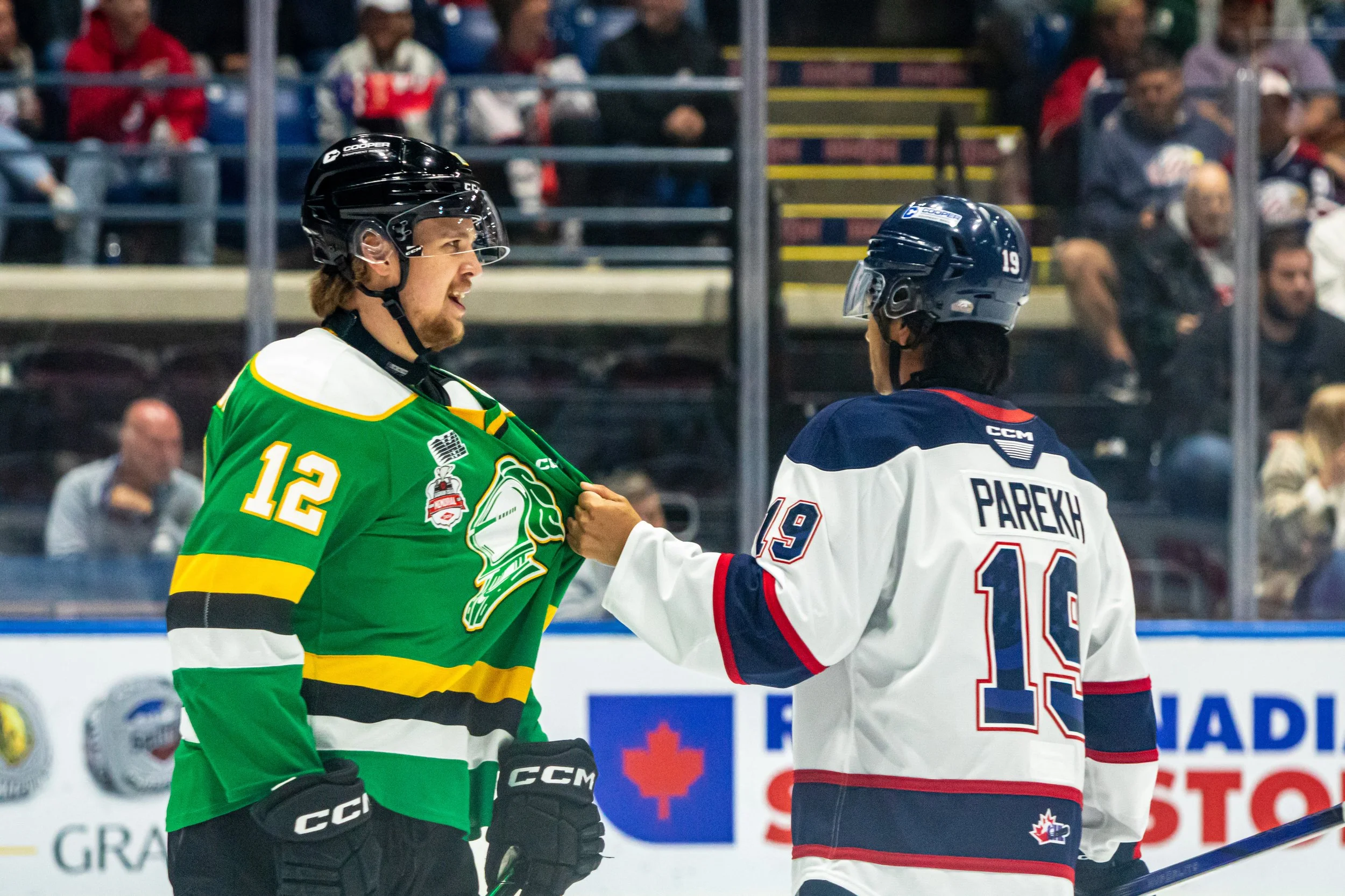 Two hockey players on the ice, one wearing a green jersey and the other wearing a white jersey with blue and red accents, engaged in a moment during a game.