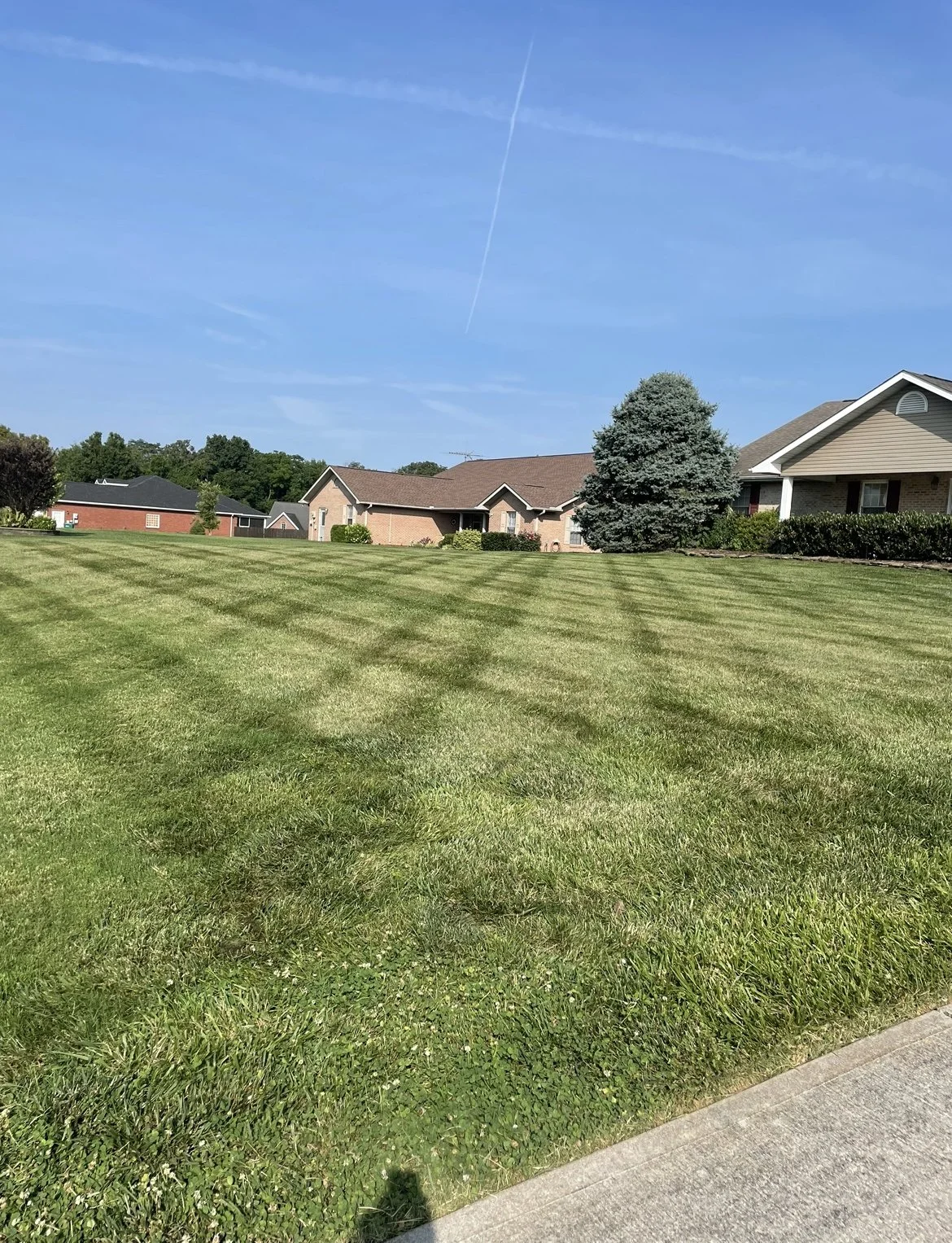 Striped residential lawn with a clean driveway edge in Seymour, Tennessee