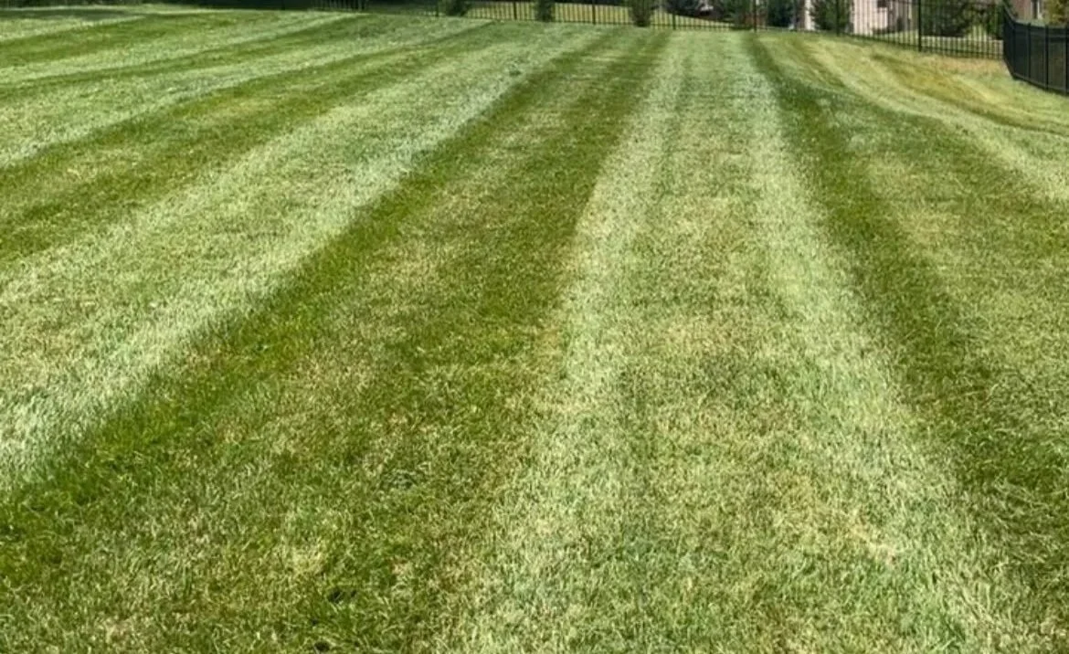 Lawn with alternating light and dark green stripes in a large backyard