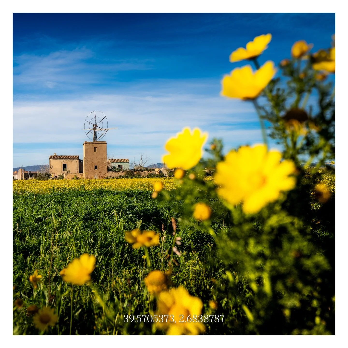🌼&bull; JBo&rsquo;s View___________________________________________________
&bull; #fotografiacallejera #mallorca #igersmallorca #photography #whatisee