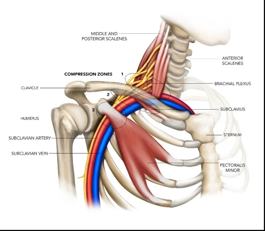 Ref: Sports injury Bulletin