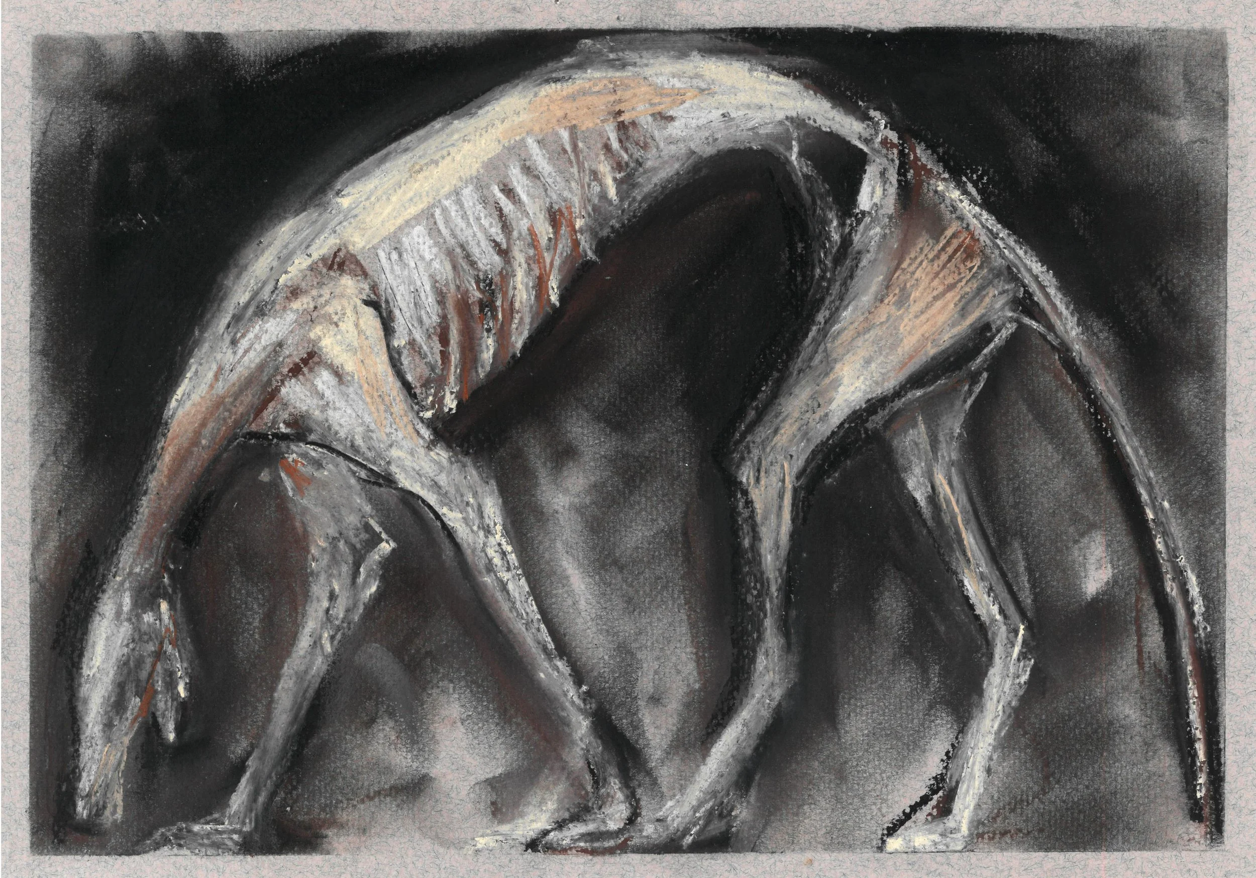 scan_22021629_2026-04-24-14-43-15_11.jpg