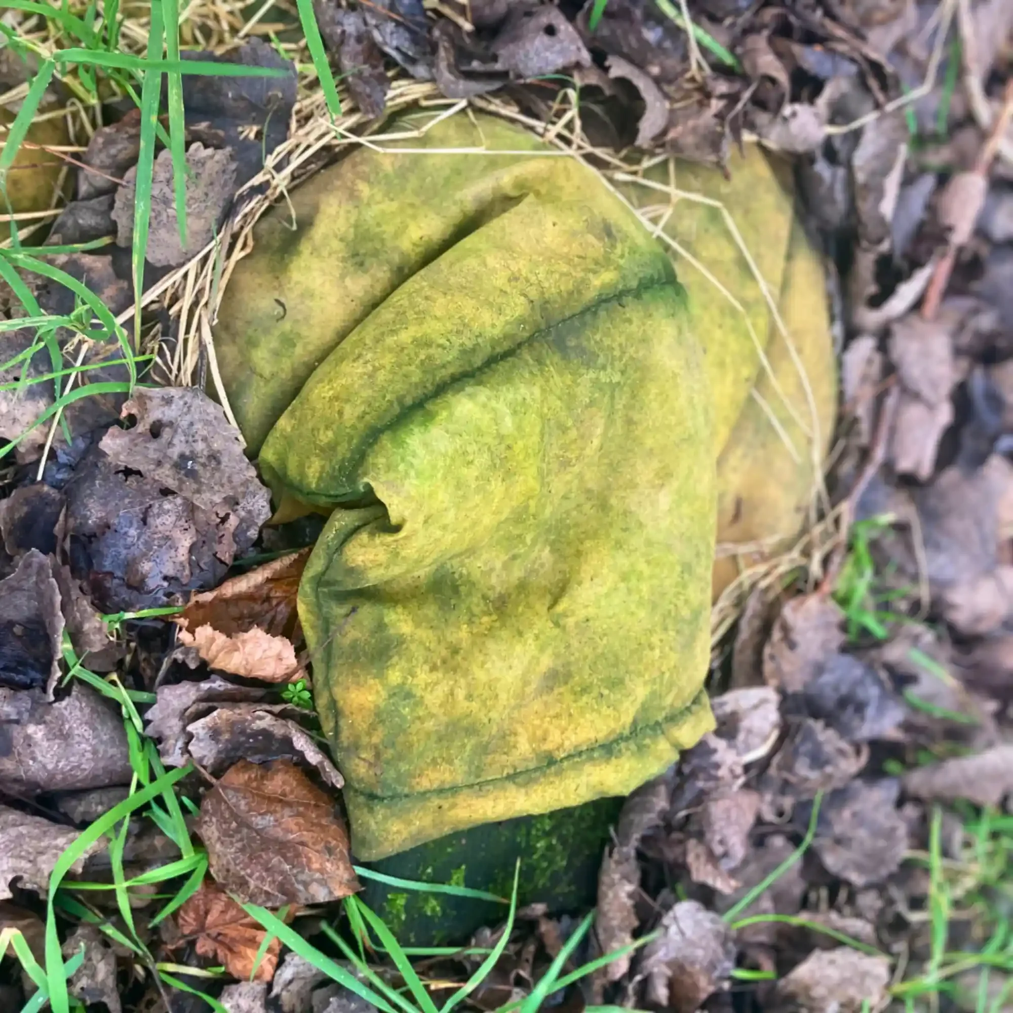 Litter in Nature - north west - uk - yellow - jacket - waste .webp