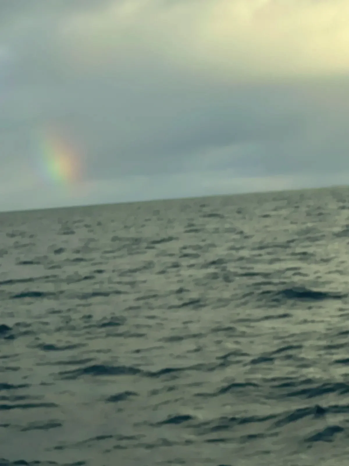 Copyright Knot Waste: Reykjavik, Iceland - Out hunting for Humpback whales and seeing a rainbow.