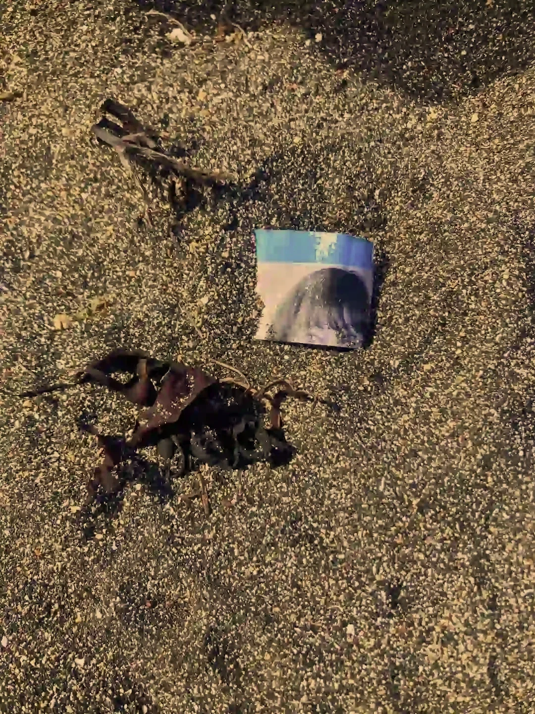 Copyright Knot Waste: Reykjavik, Iceland - A photo found on the sand. 