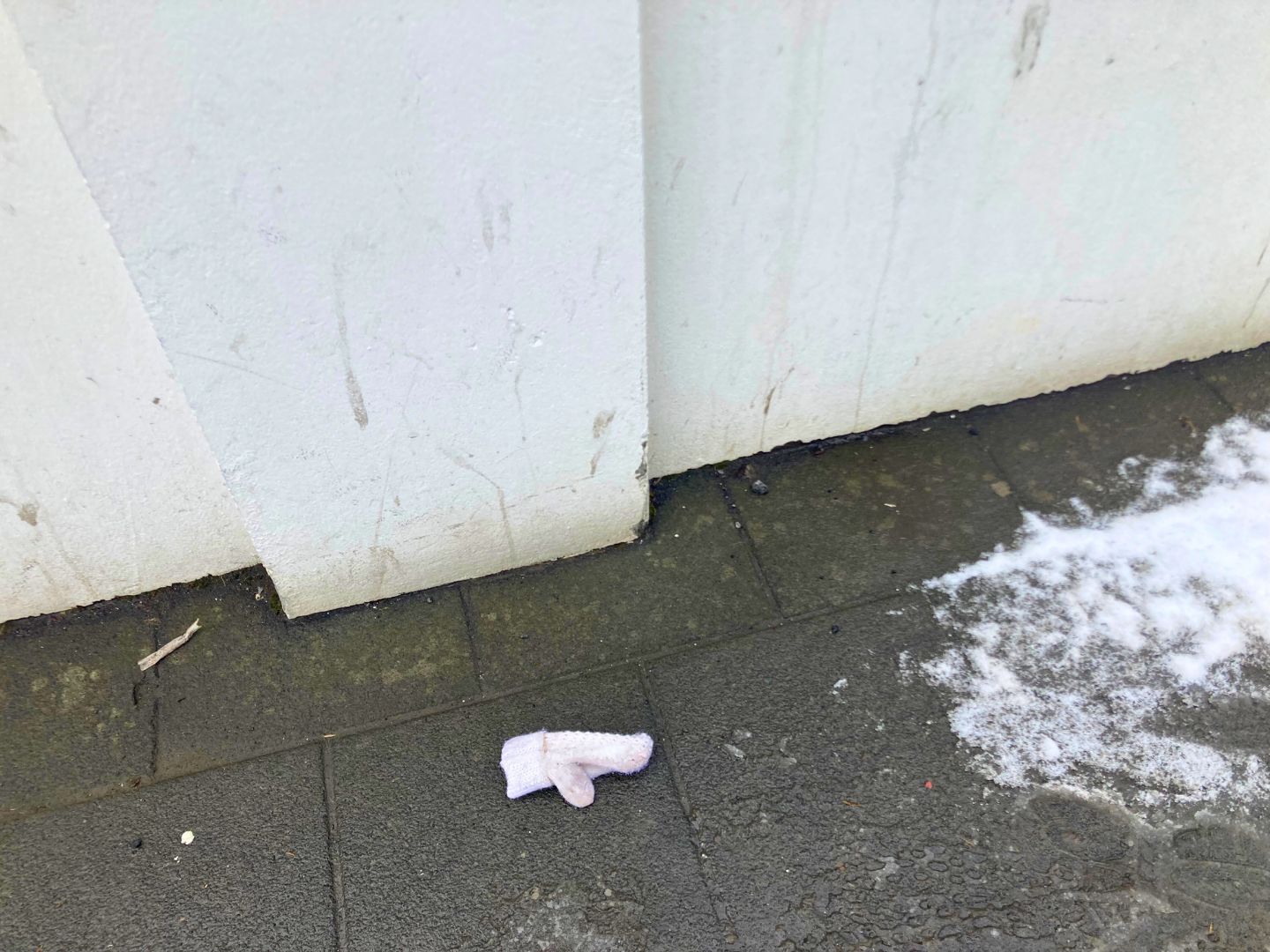 reykjavik - iceland - mitten - in - snow .png