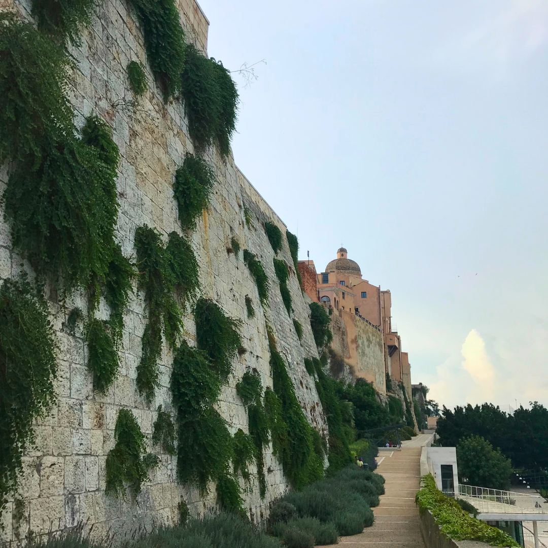 Biophilic Design - Cagliari - Sardinia - castle - greenery.png