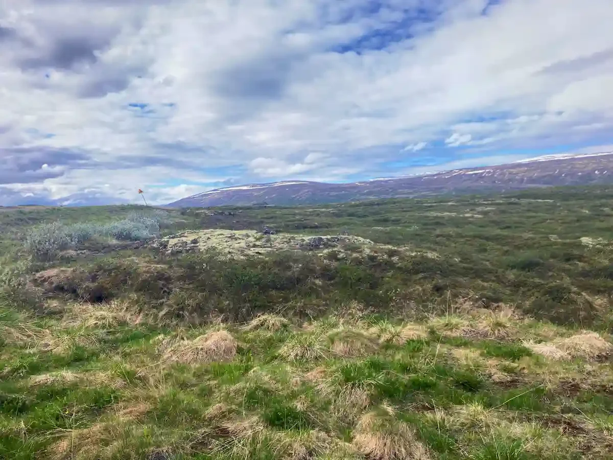 Copyright Knot Waste: Akureyi Trip, Iceland: Often nick-named the Northern capital, Akurreyi is known for its flourishing vegetation. 