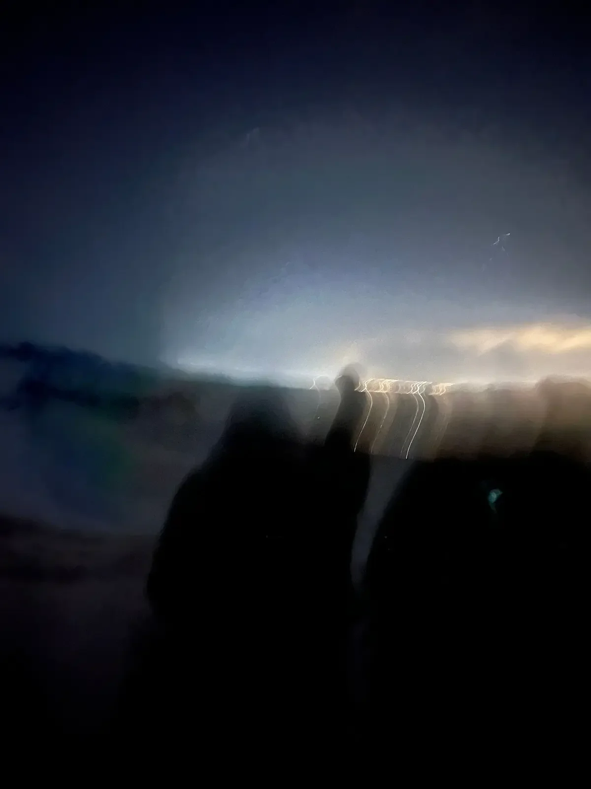 Copyright Knot Waste: Iceland, Light Pollution - It confuses the internal clocks and behaviours of wildlife, and can alter plant cycles. 