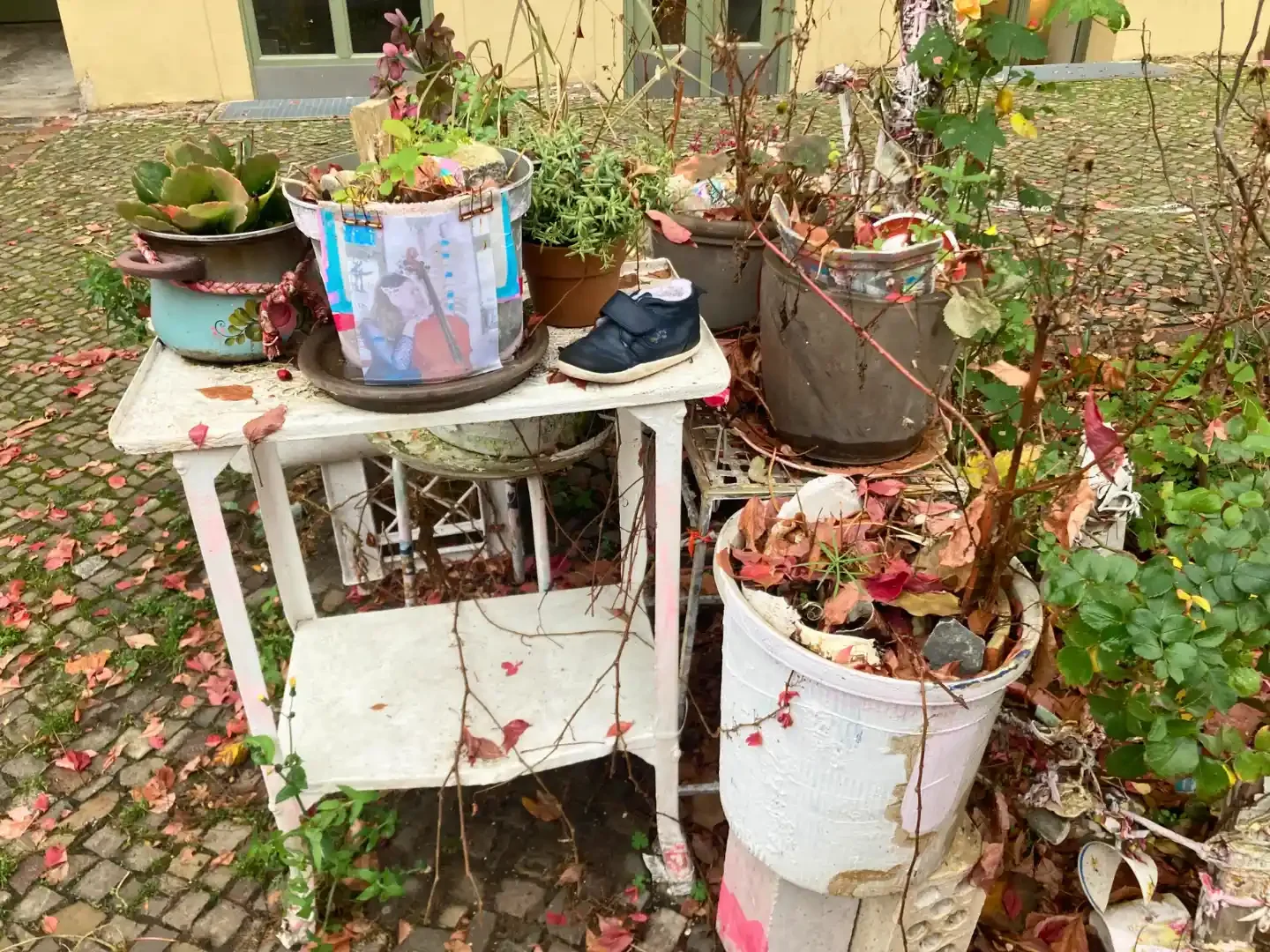 Overgrown communal garden with mismatched plant pots, fallen leaves, and reused objects in a rustic Berlin courtyard.