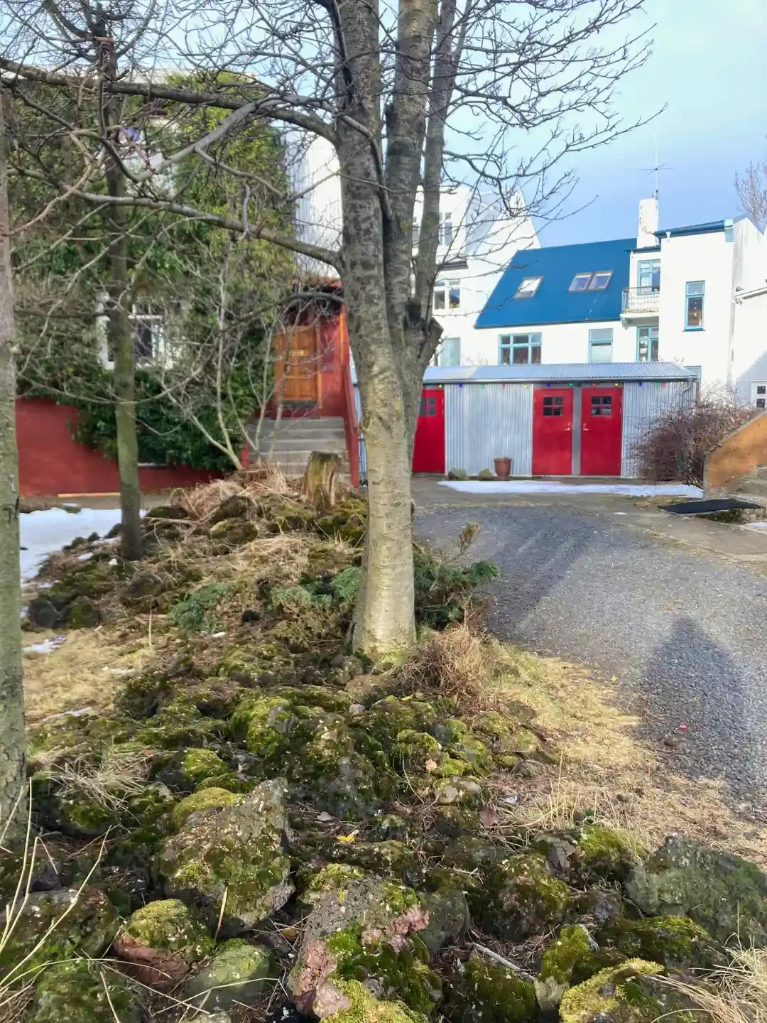 Biophilic Design - reykjavic - iceland - colourful- house - downtown .webp