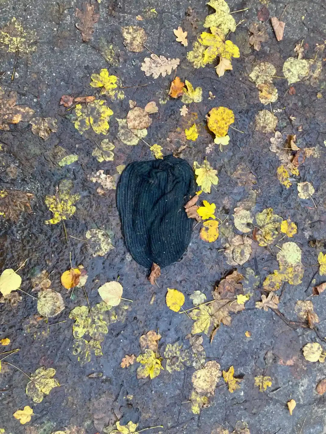 Urban Litter - Kreuzberg - Berlin - Germany - hat.webp